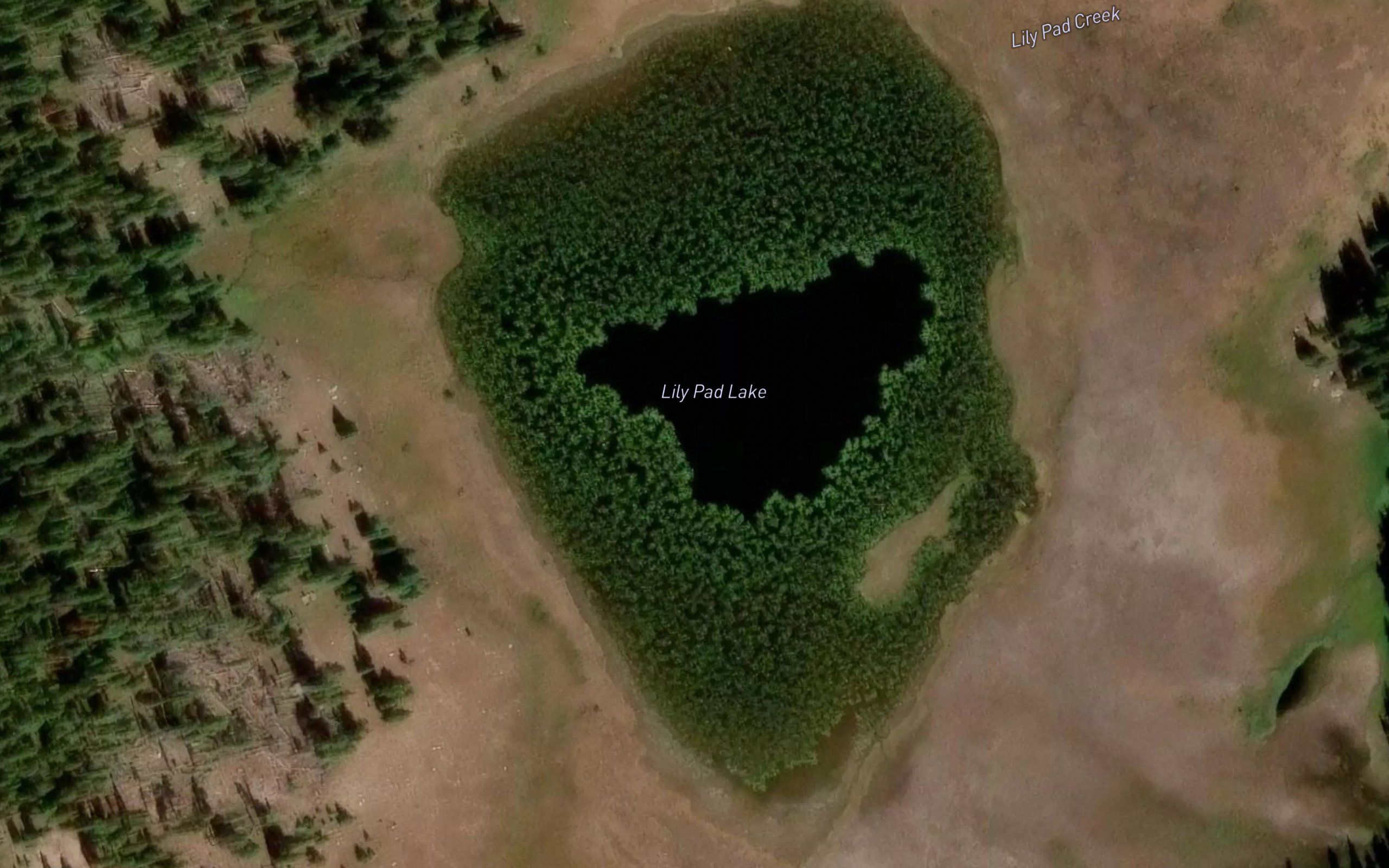 Lily Pad Lake