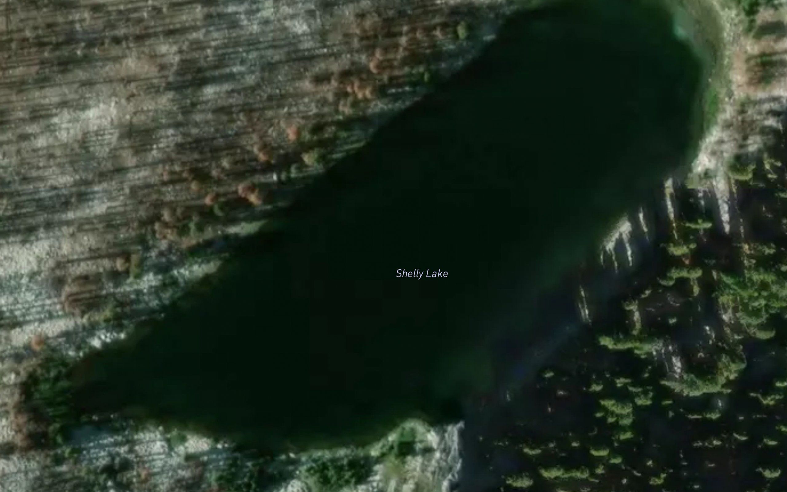 Shelly Lake