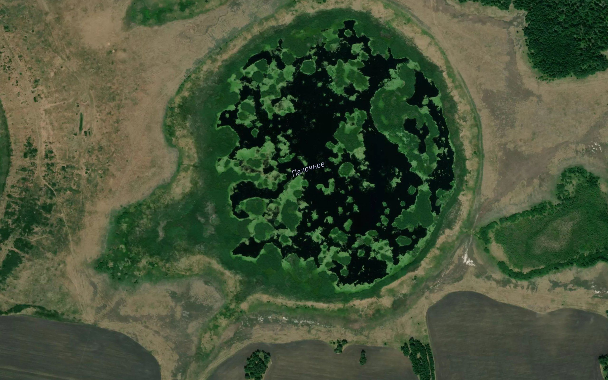 Ozero Palochnoye