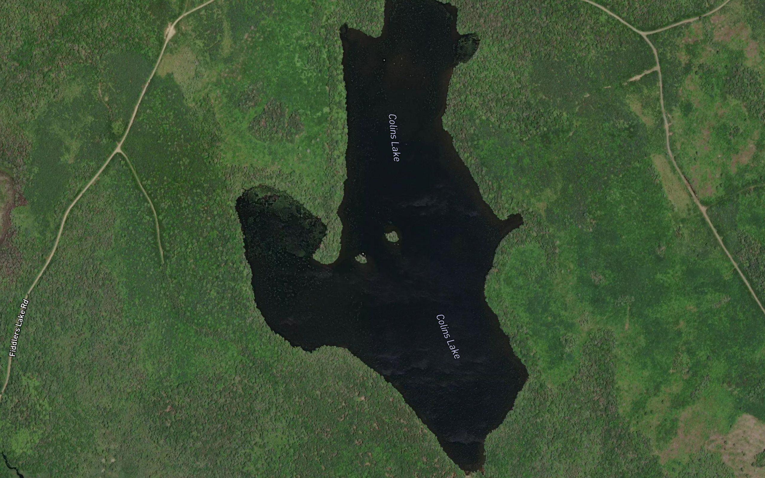 Colins Lake
