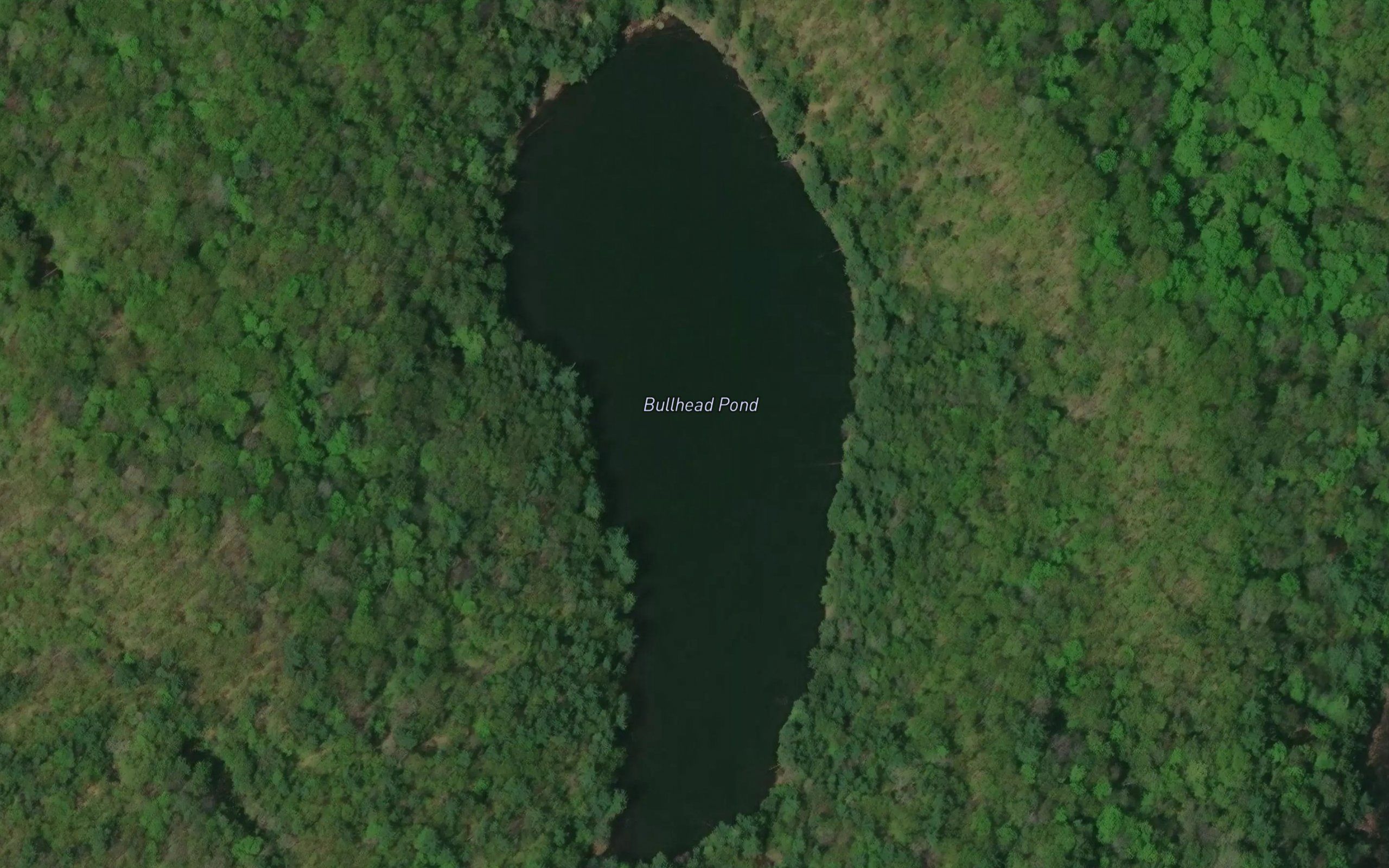 Bullhead Pond