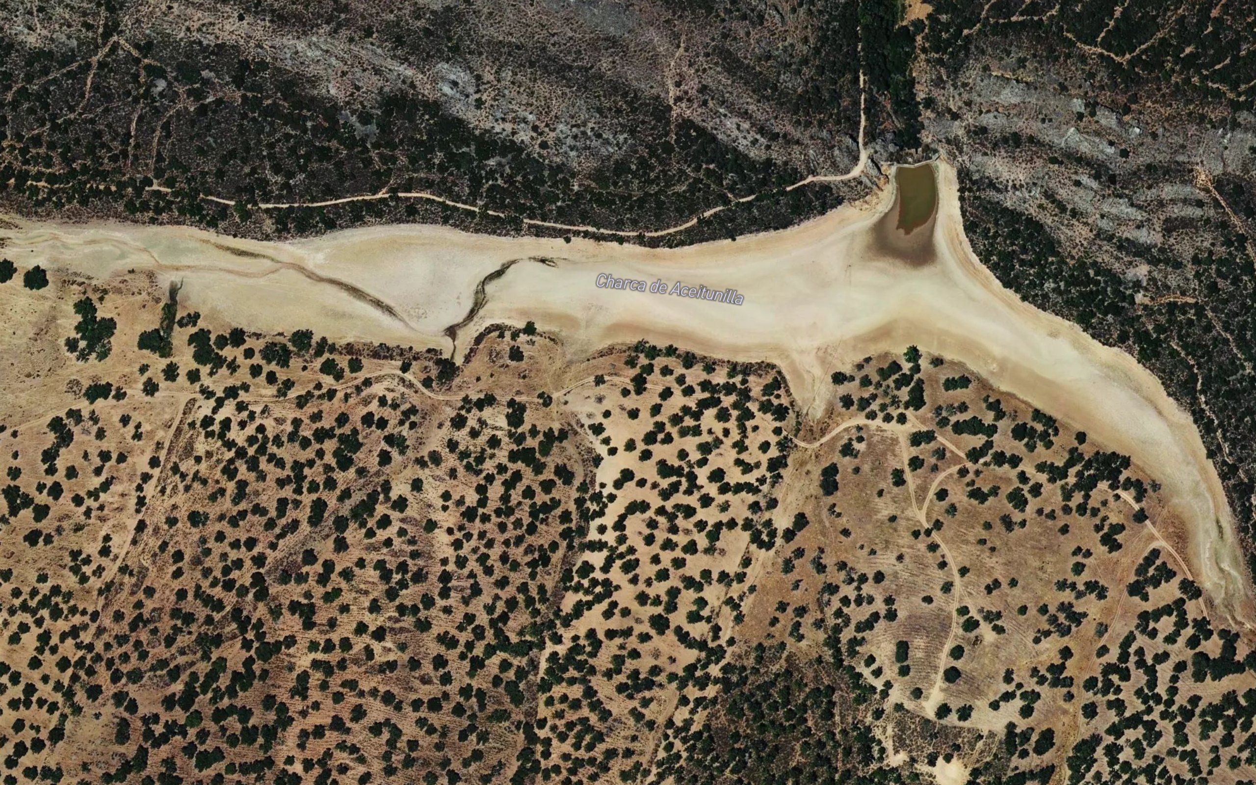 Charca de la Aceitunilla