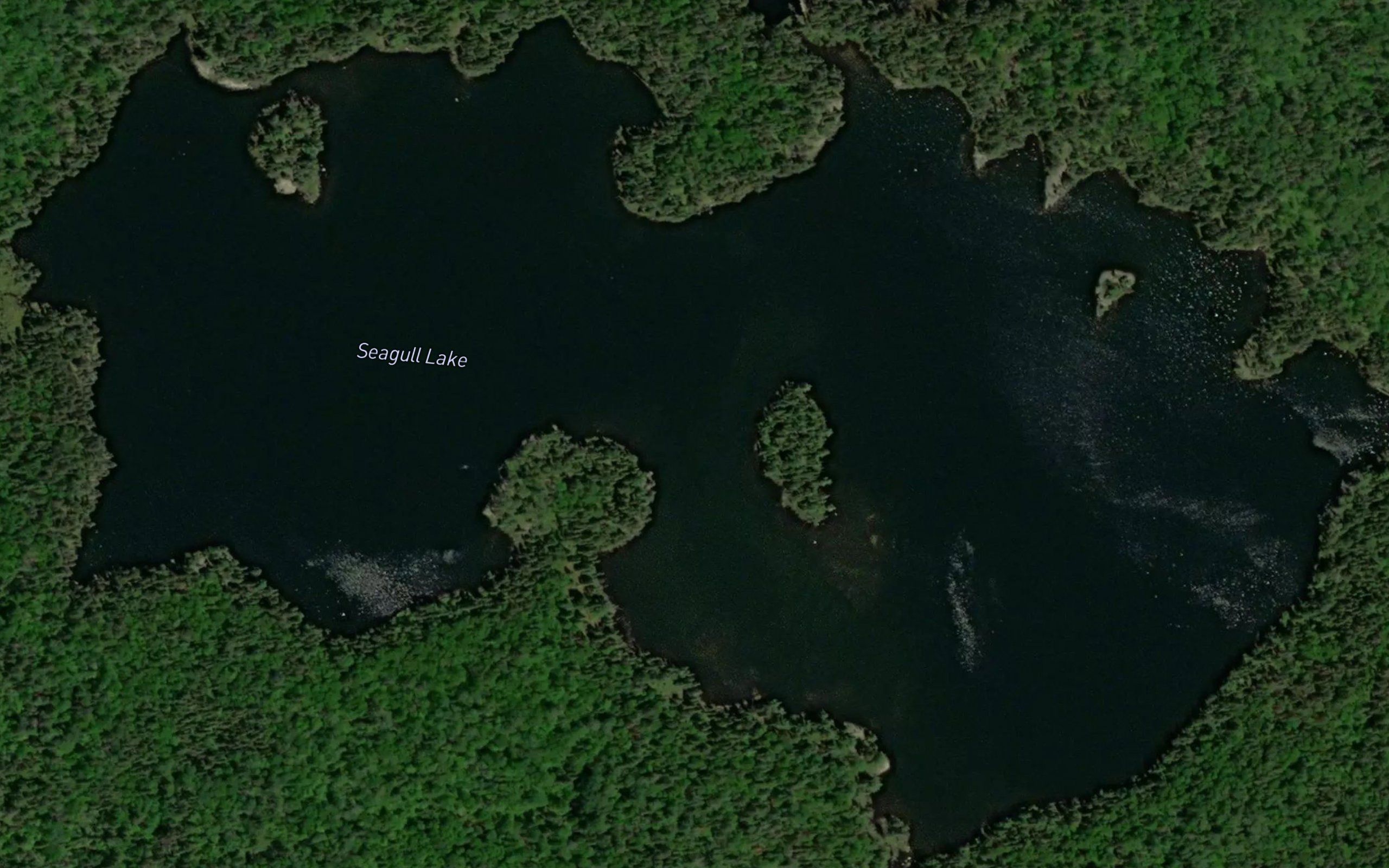 Seagull Lake