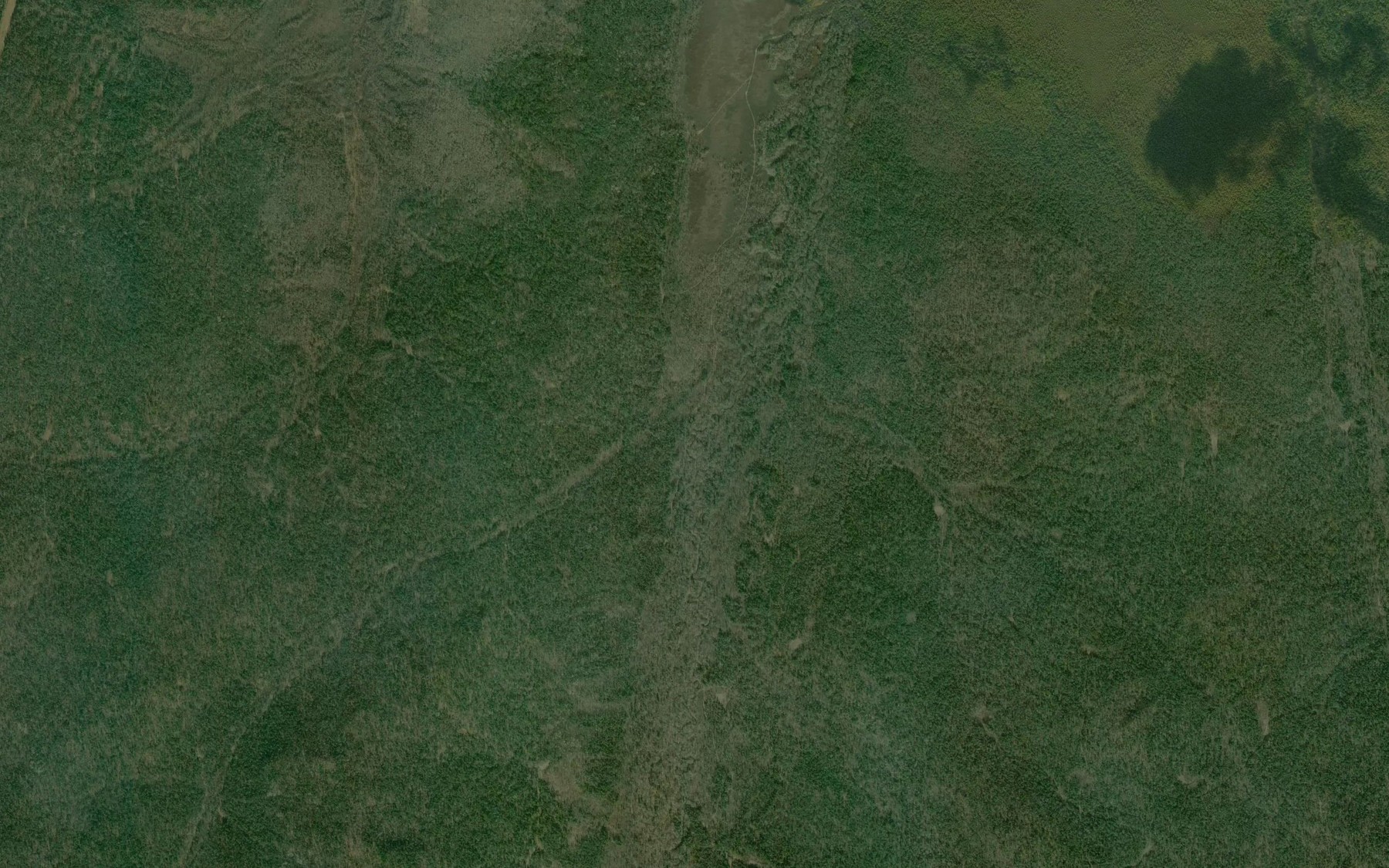 Satellite map of the Svetlyy