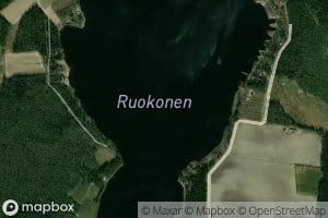 Ruokonen