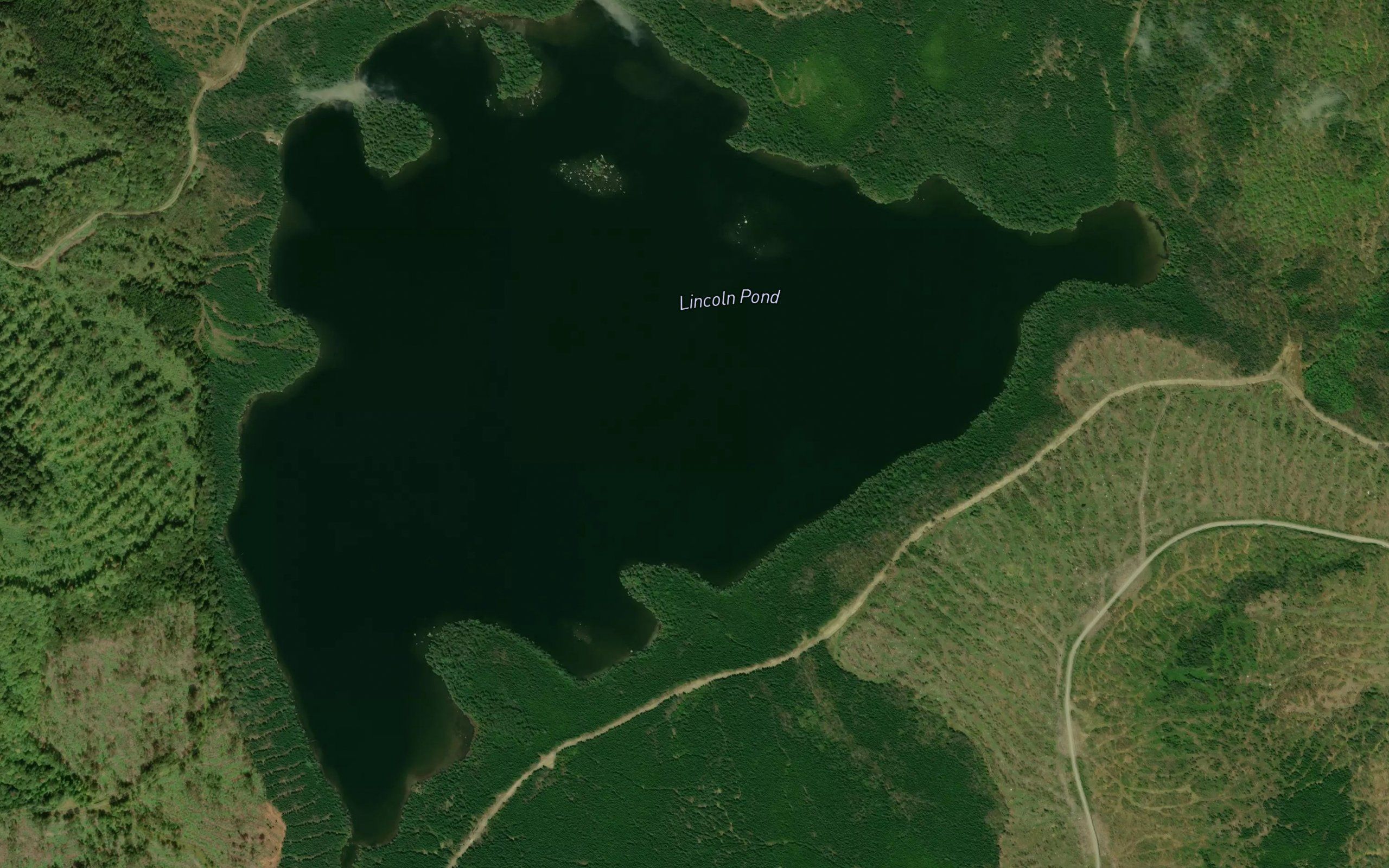 Lincoln Pond
