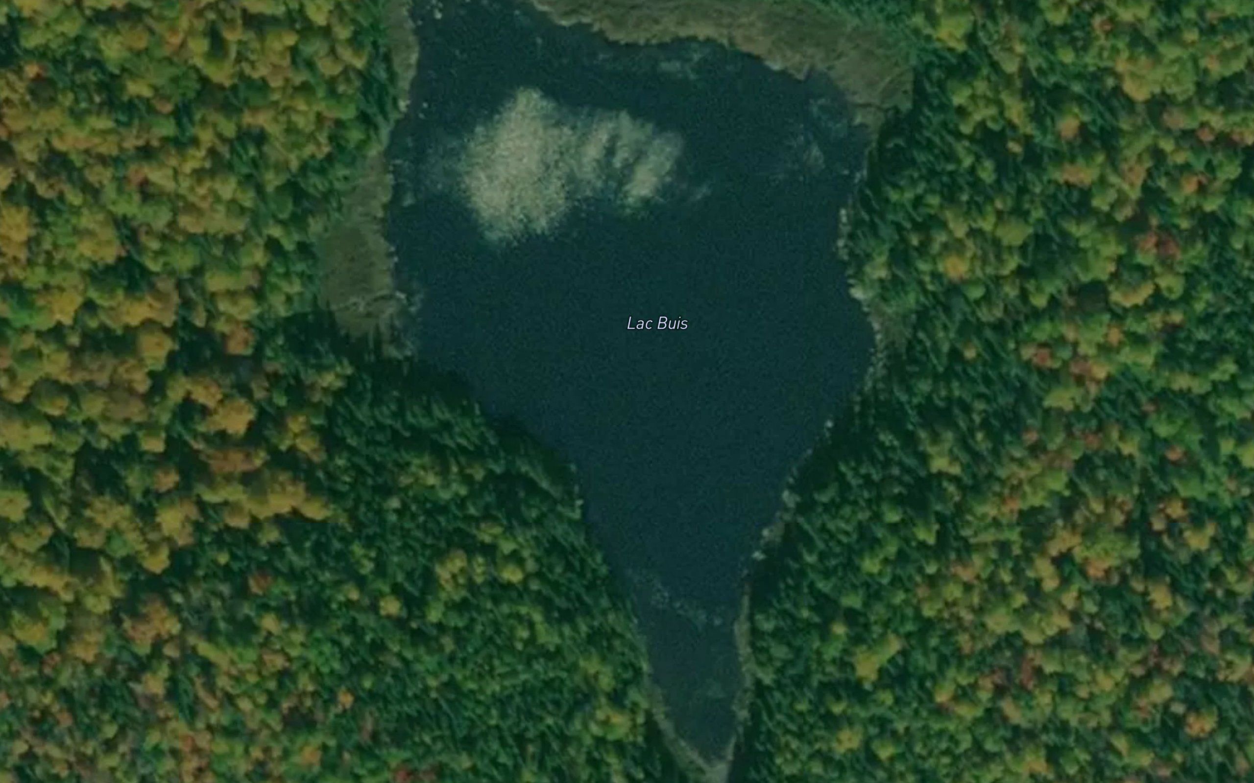 Lac Buis