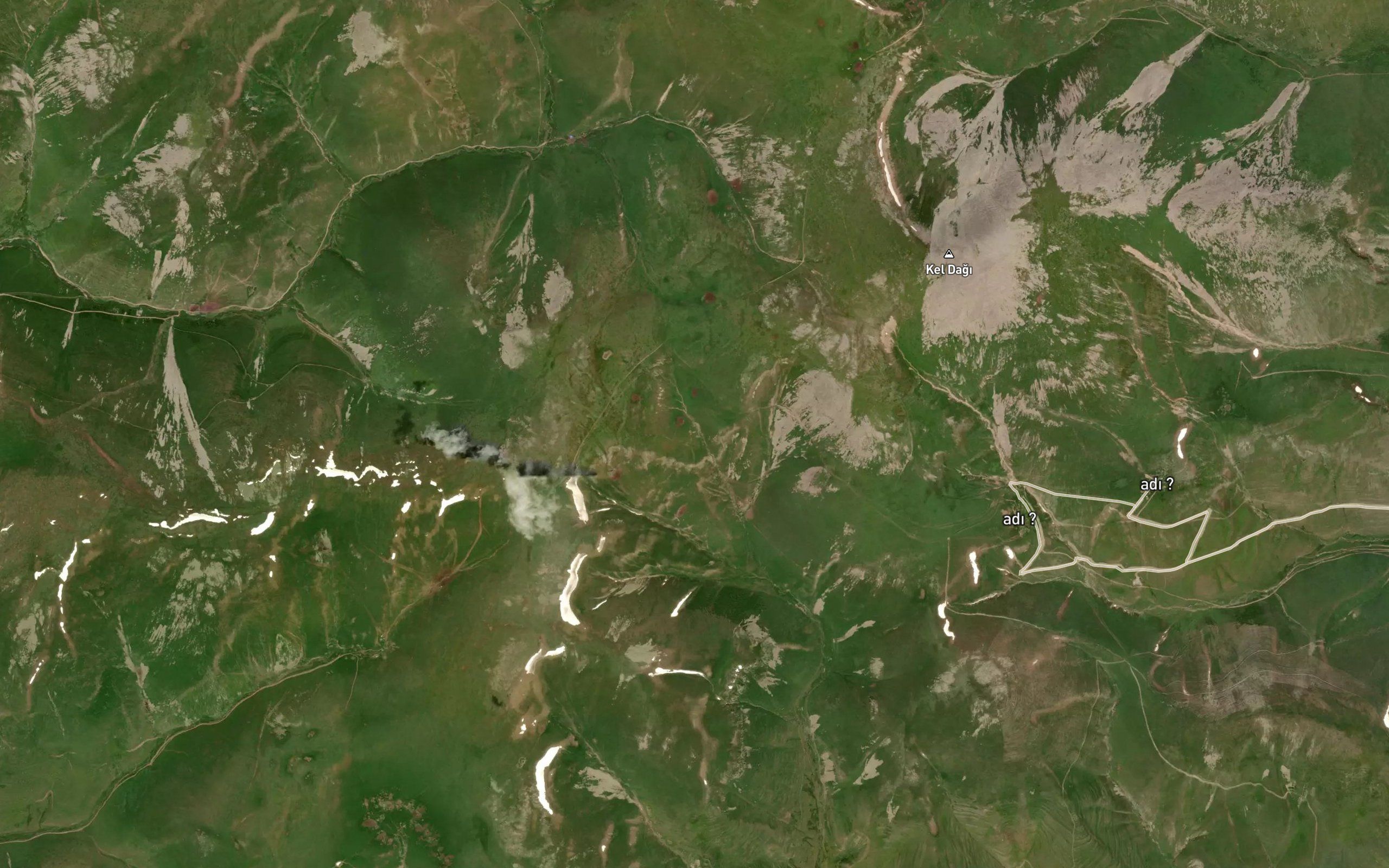 Yayla Pinari