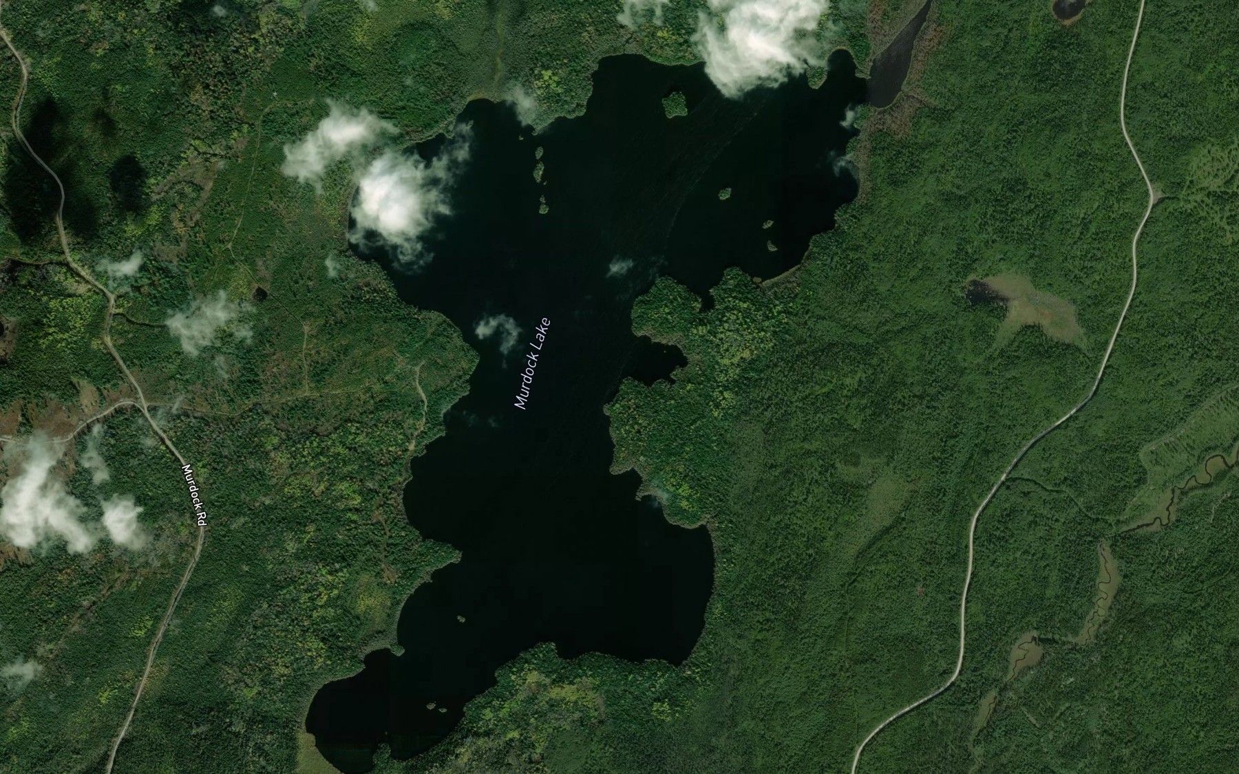Satellite map of the Murdock Lake