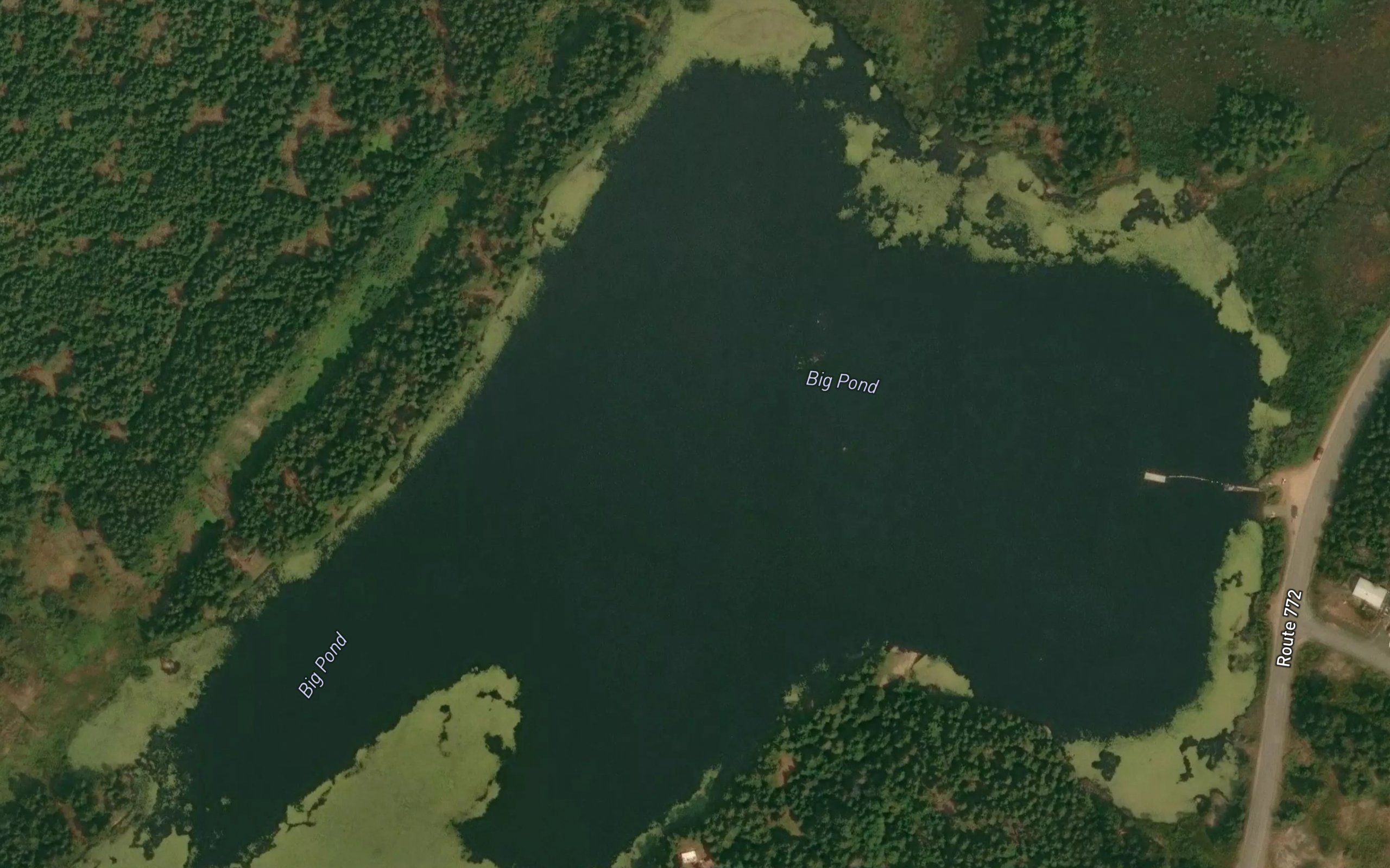 Big Pond
