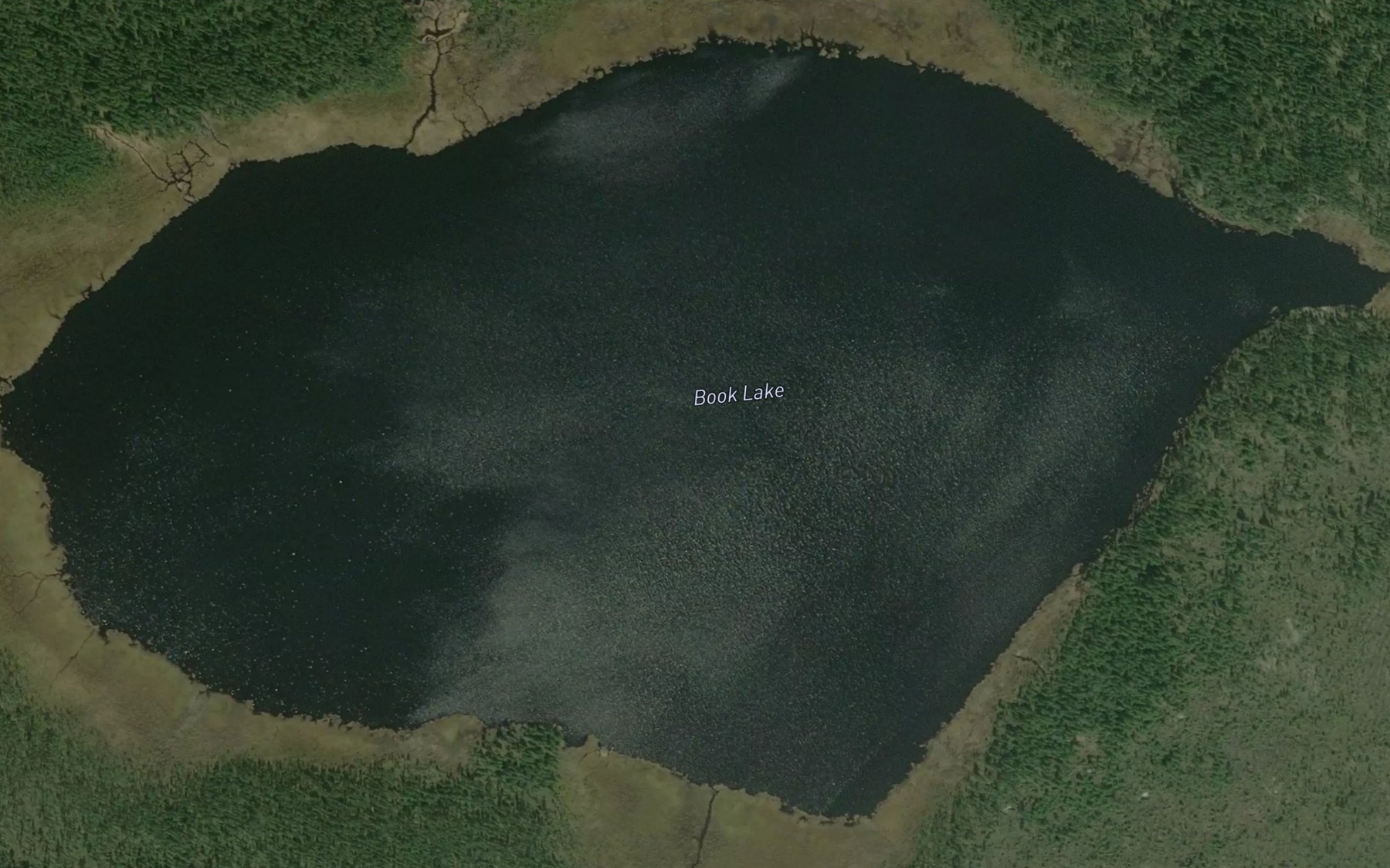 Satellite map of the Book Lake