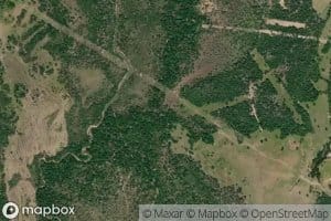 Neville Creek