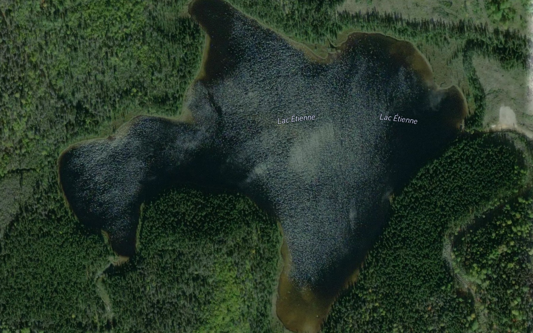 Satellite map of the Lac des Seaux