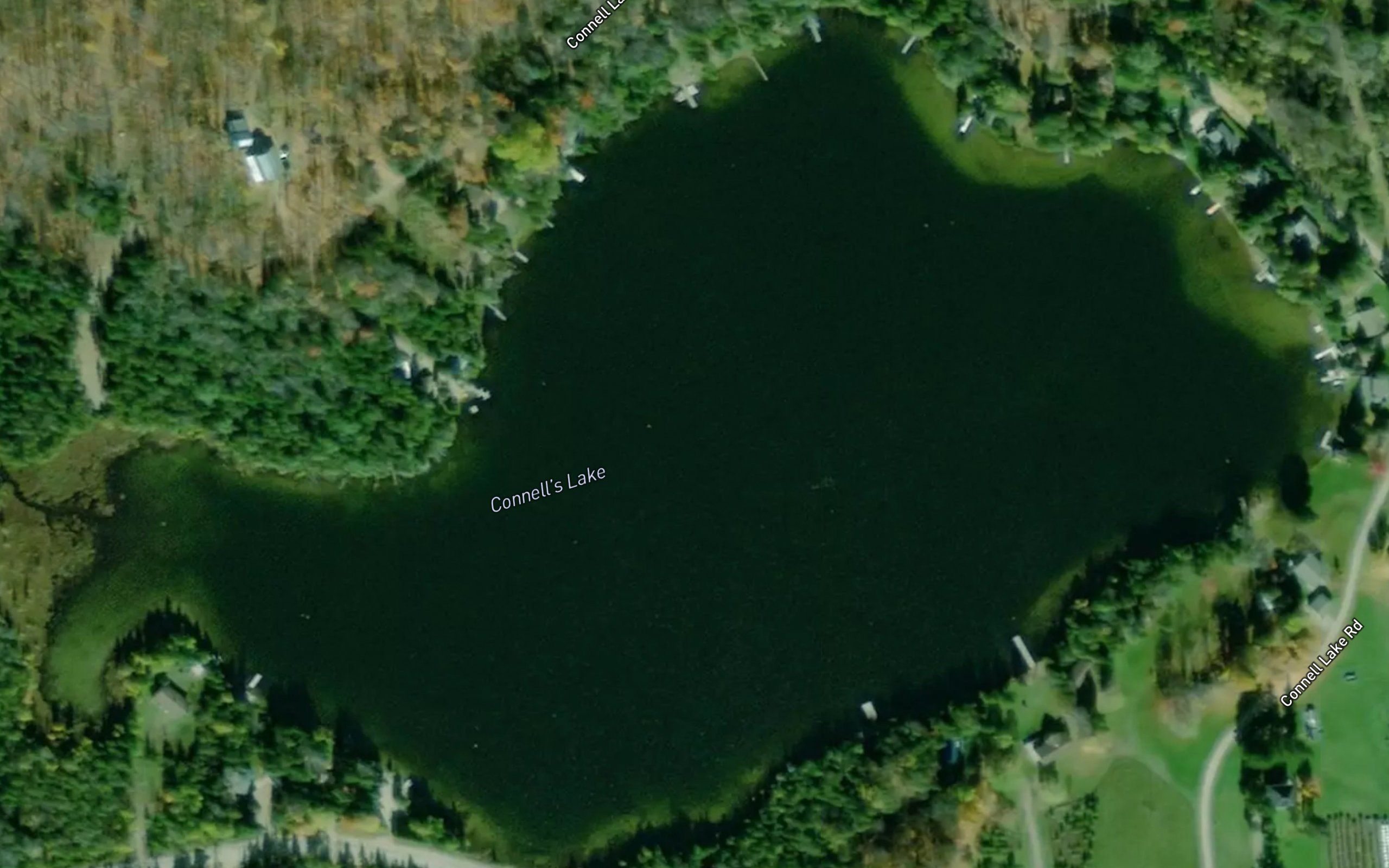 Connell's Lake