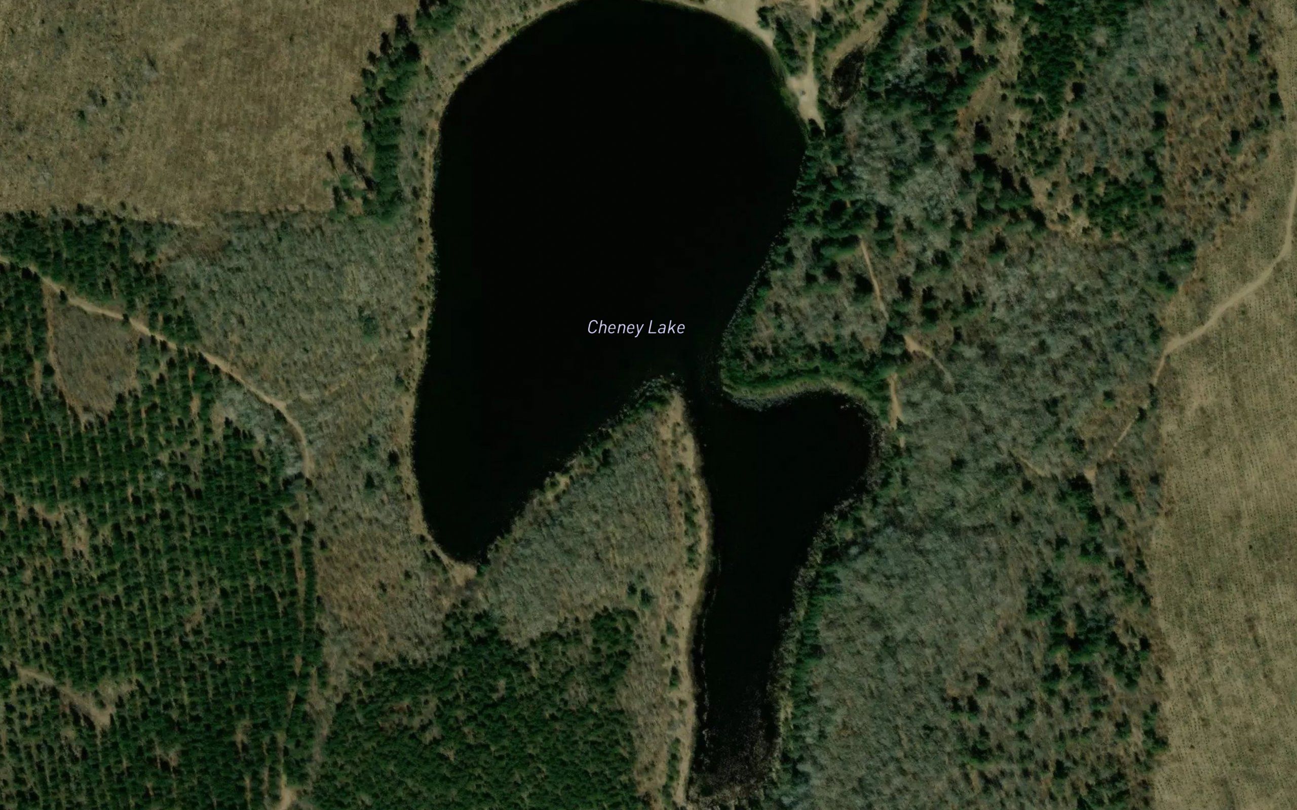 Cheney Lake