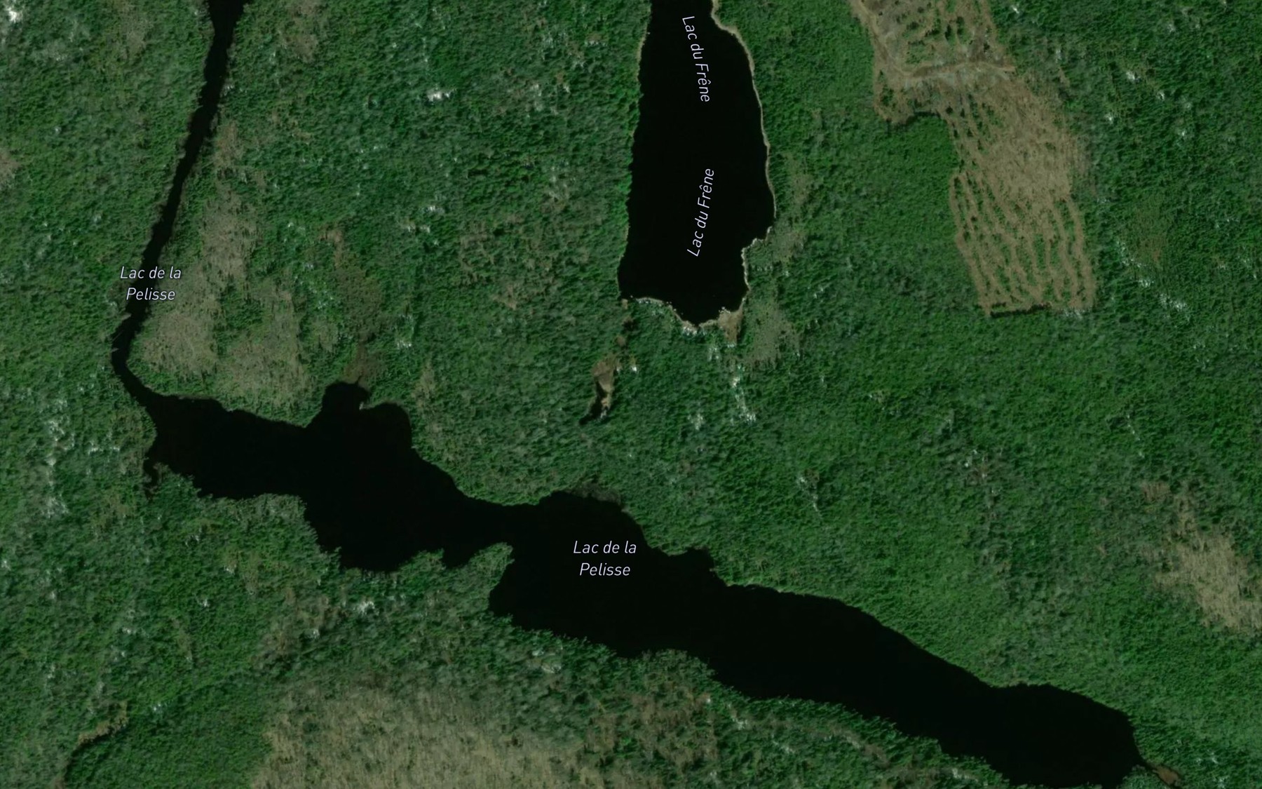 Satellite map of the Lac de la Pelisse