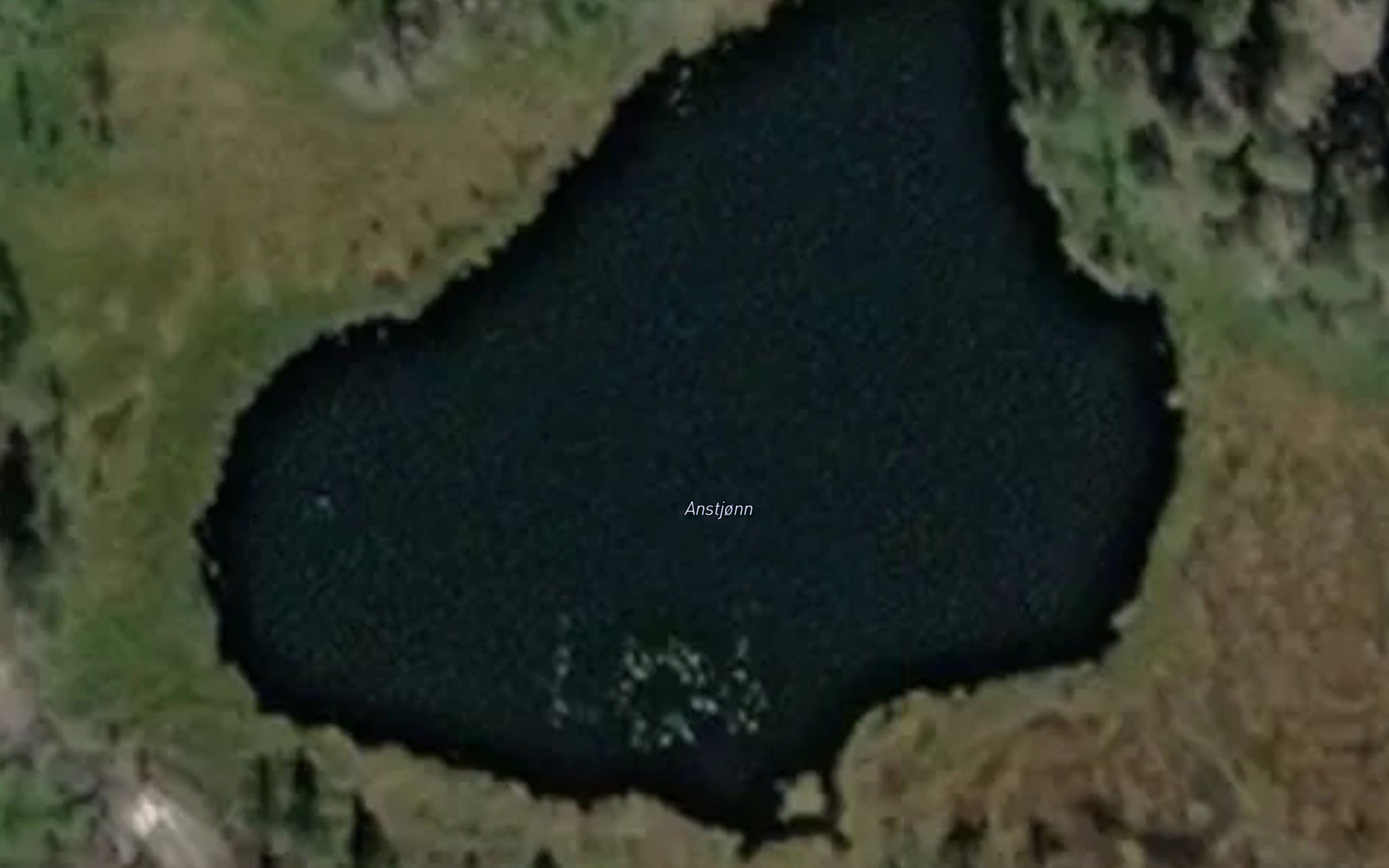 Anstjorn