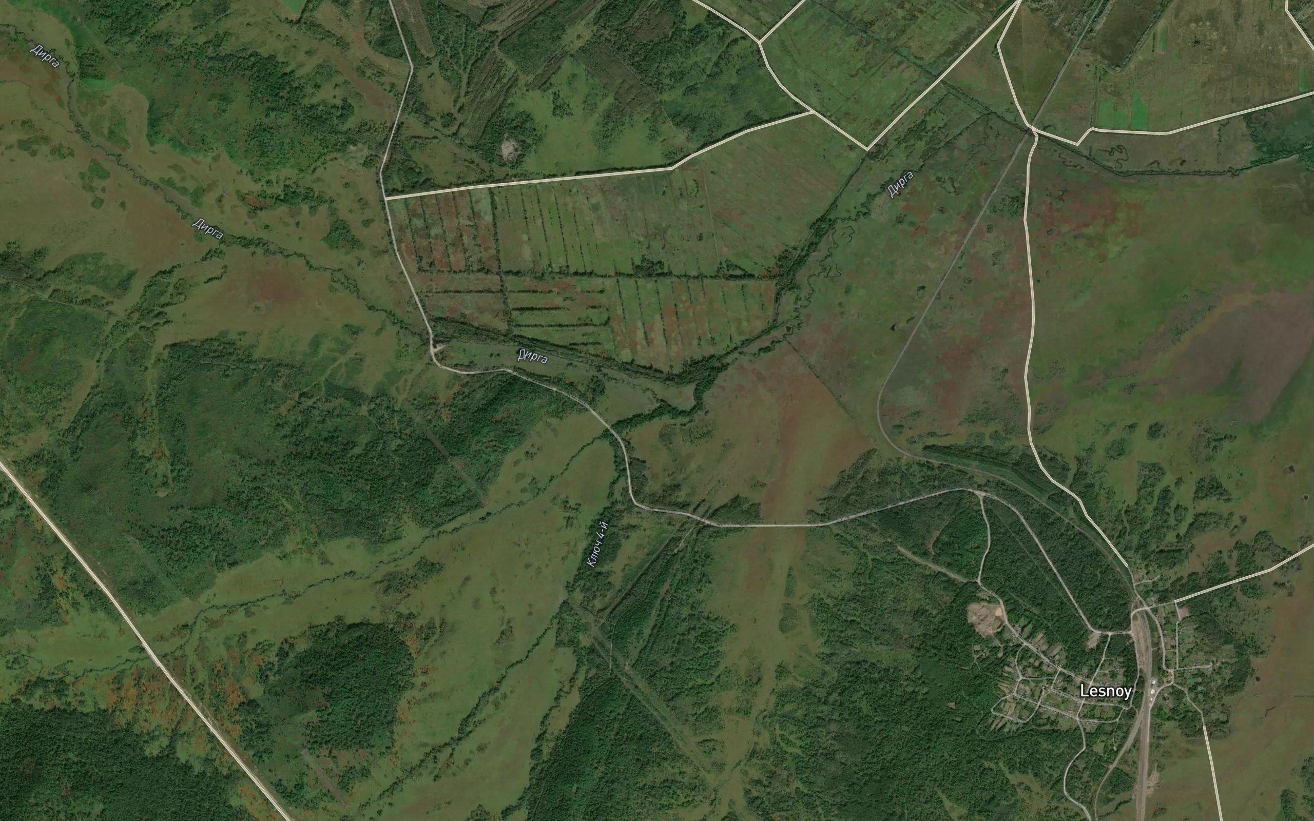 Medvezhiy