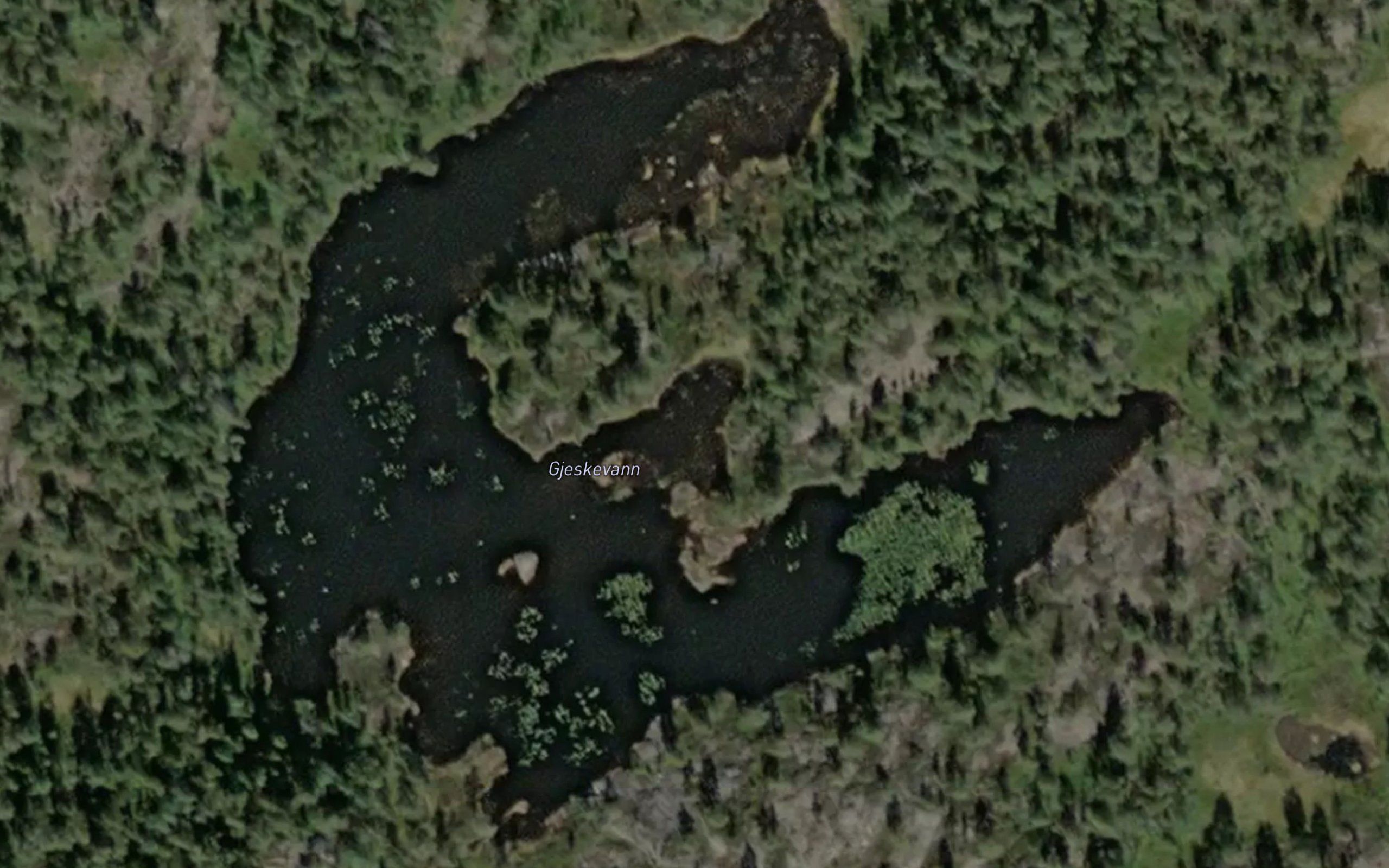 Gjeskevatn