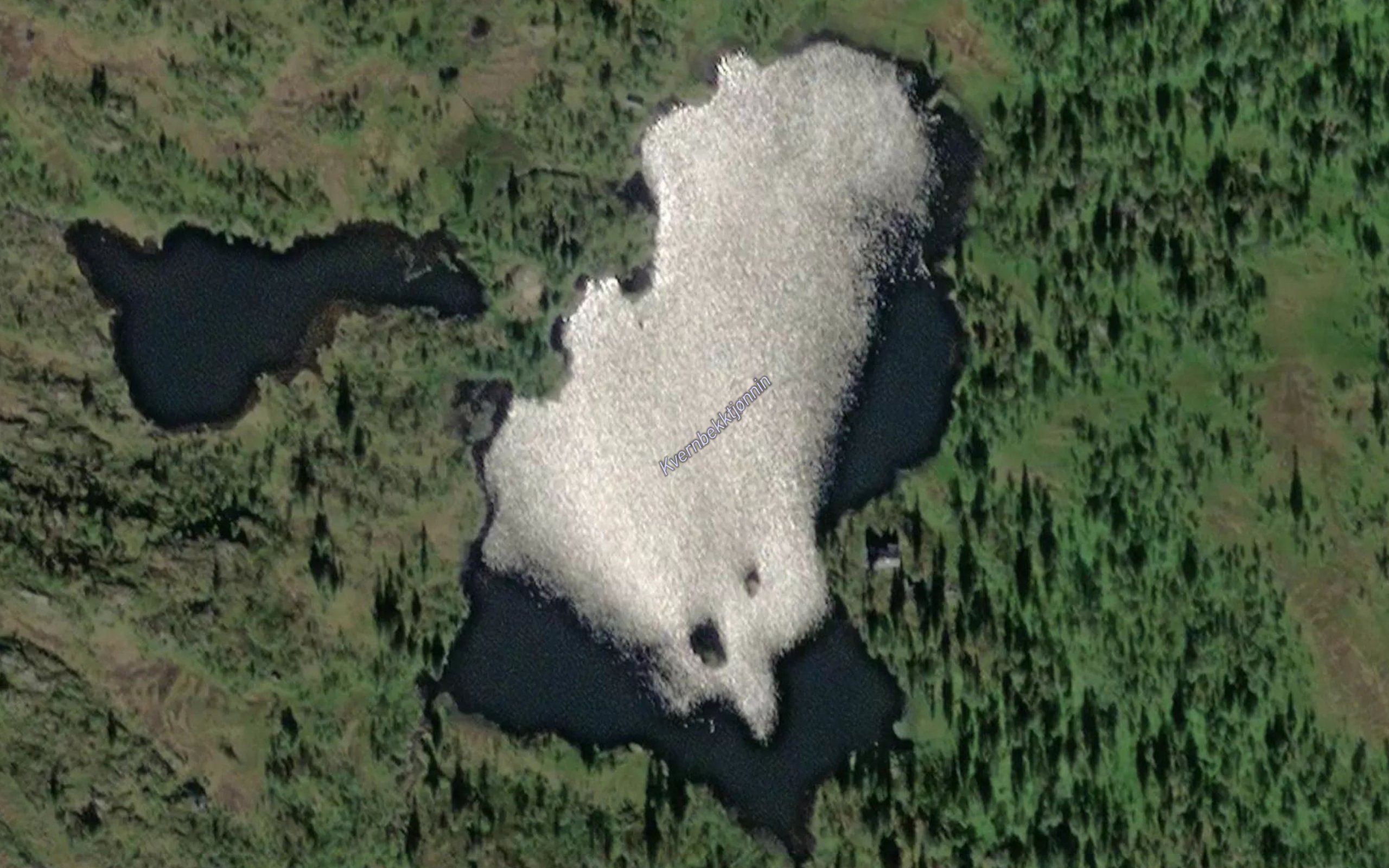 Kvernbekktjornin