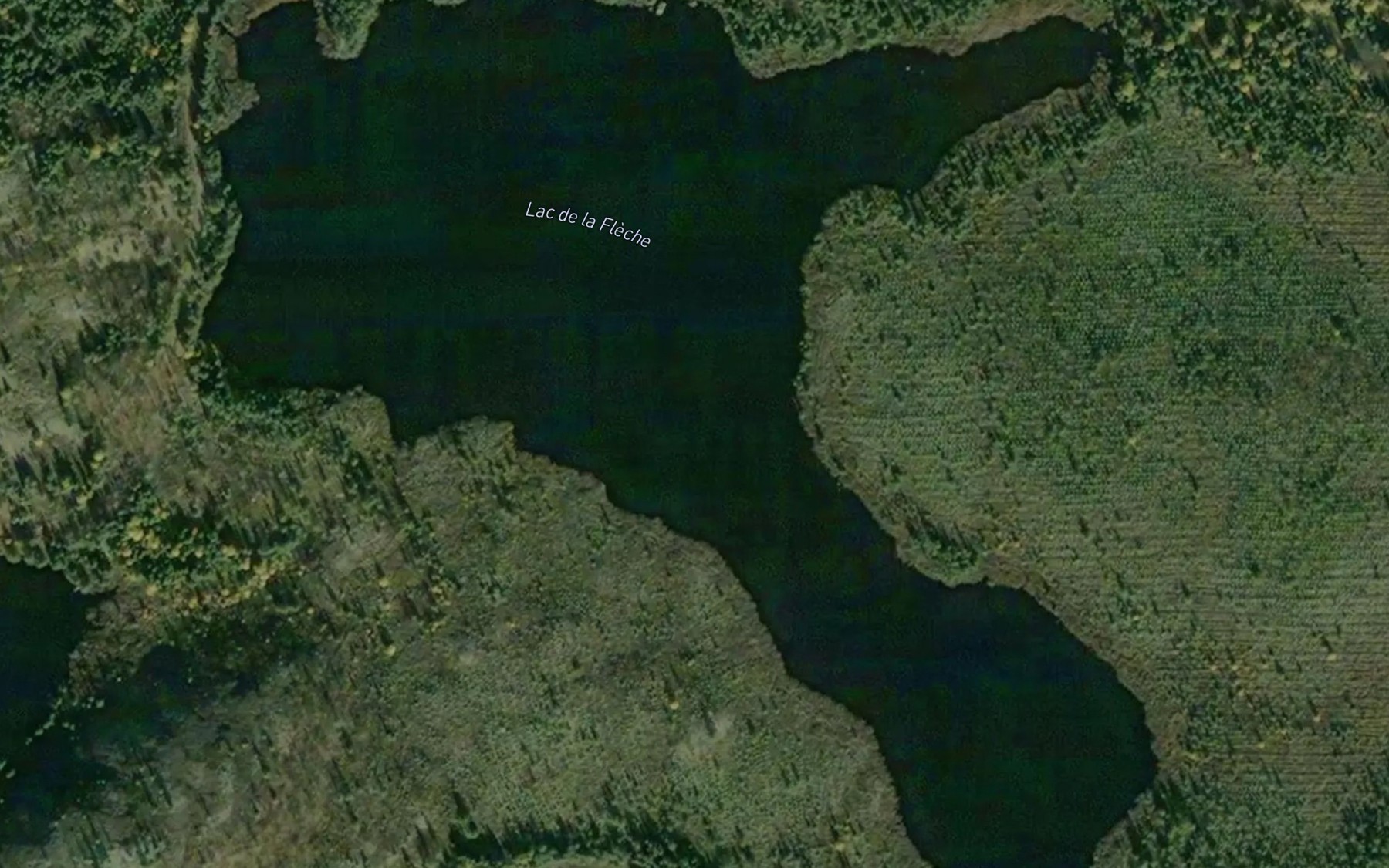 Satellite map of the Lac de la Fleche