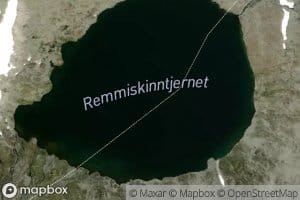 Remmiskinntjernet