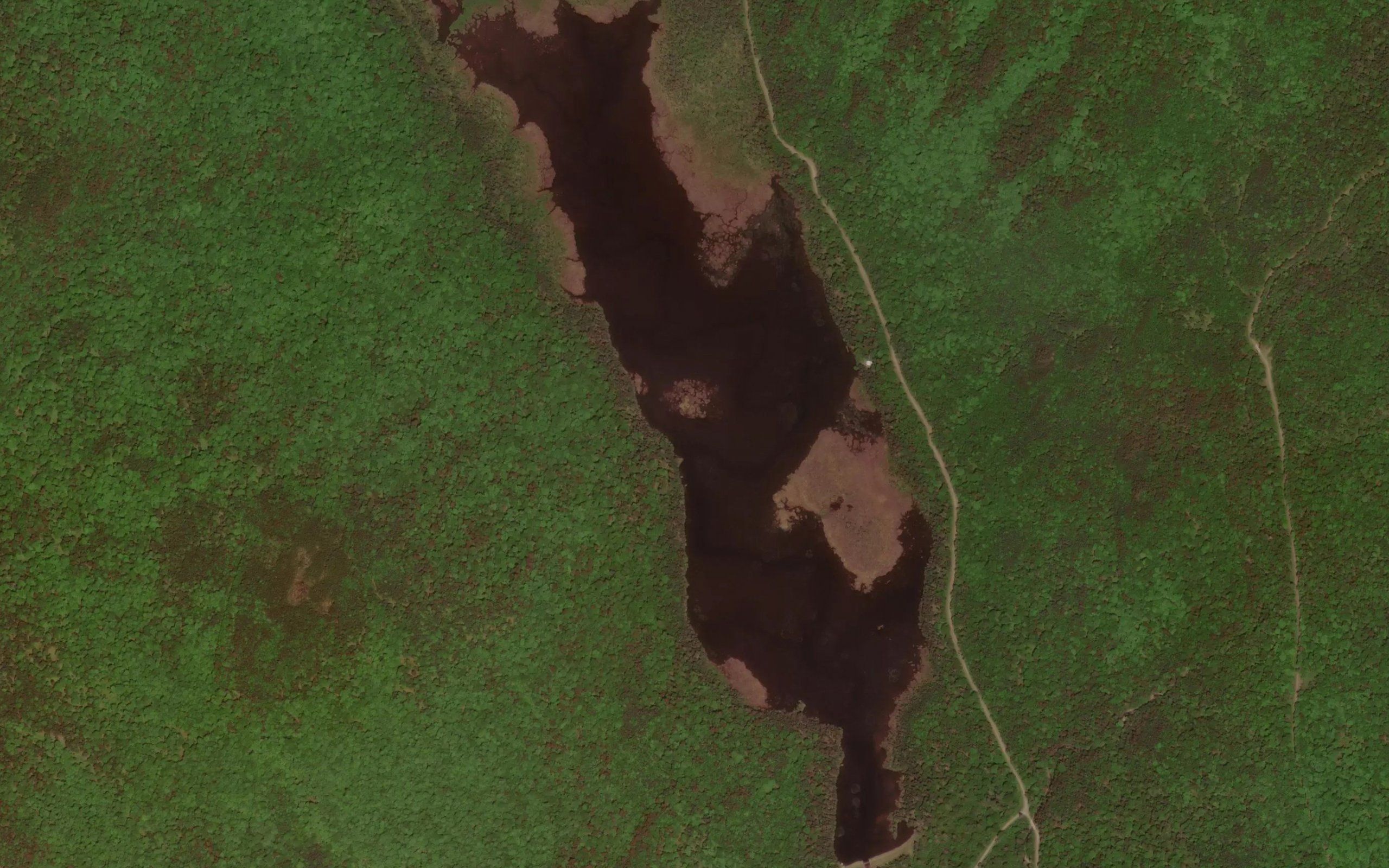 Scott Bog