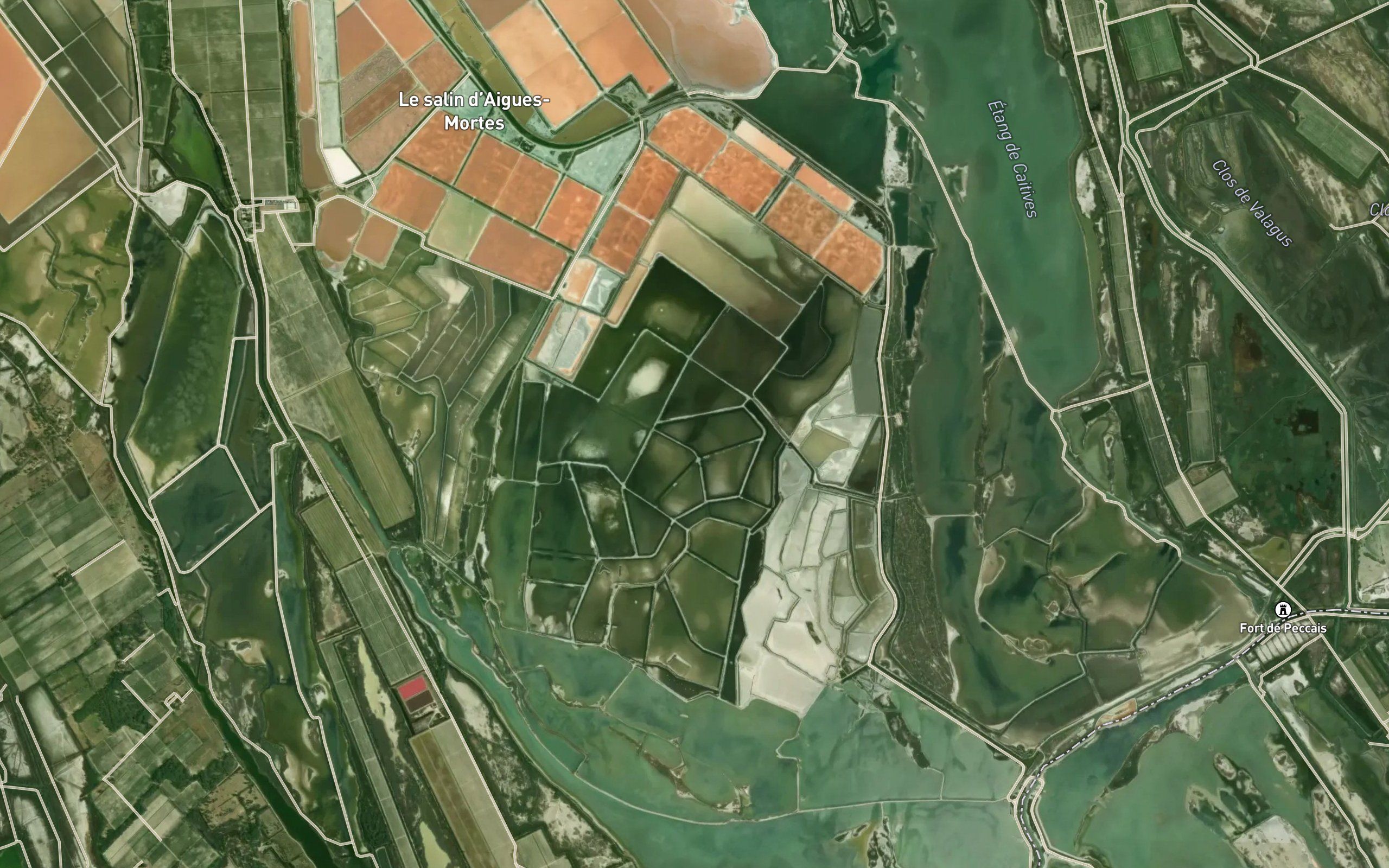 Etang du Roi
