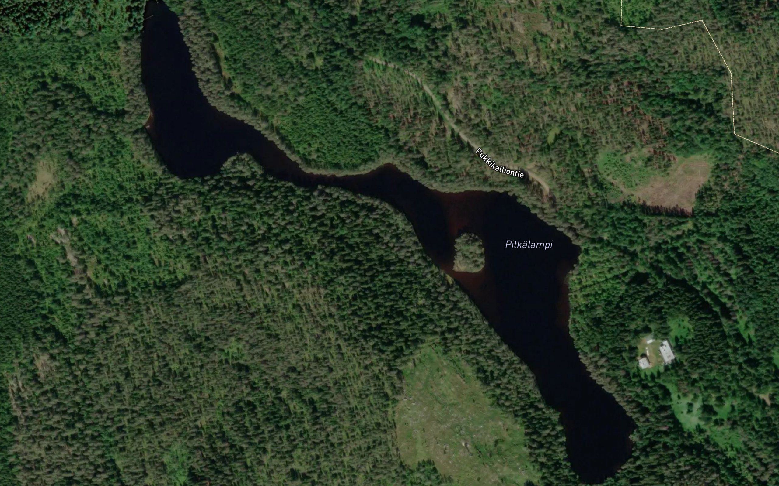 Pitkalampi