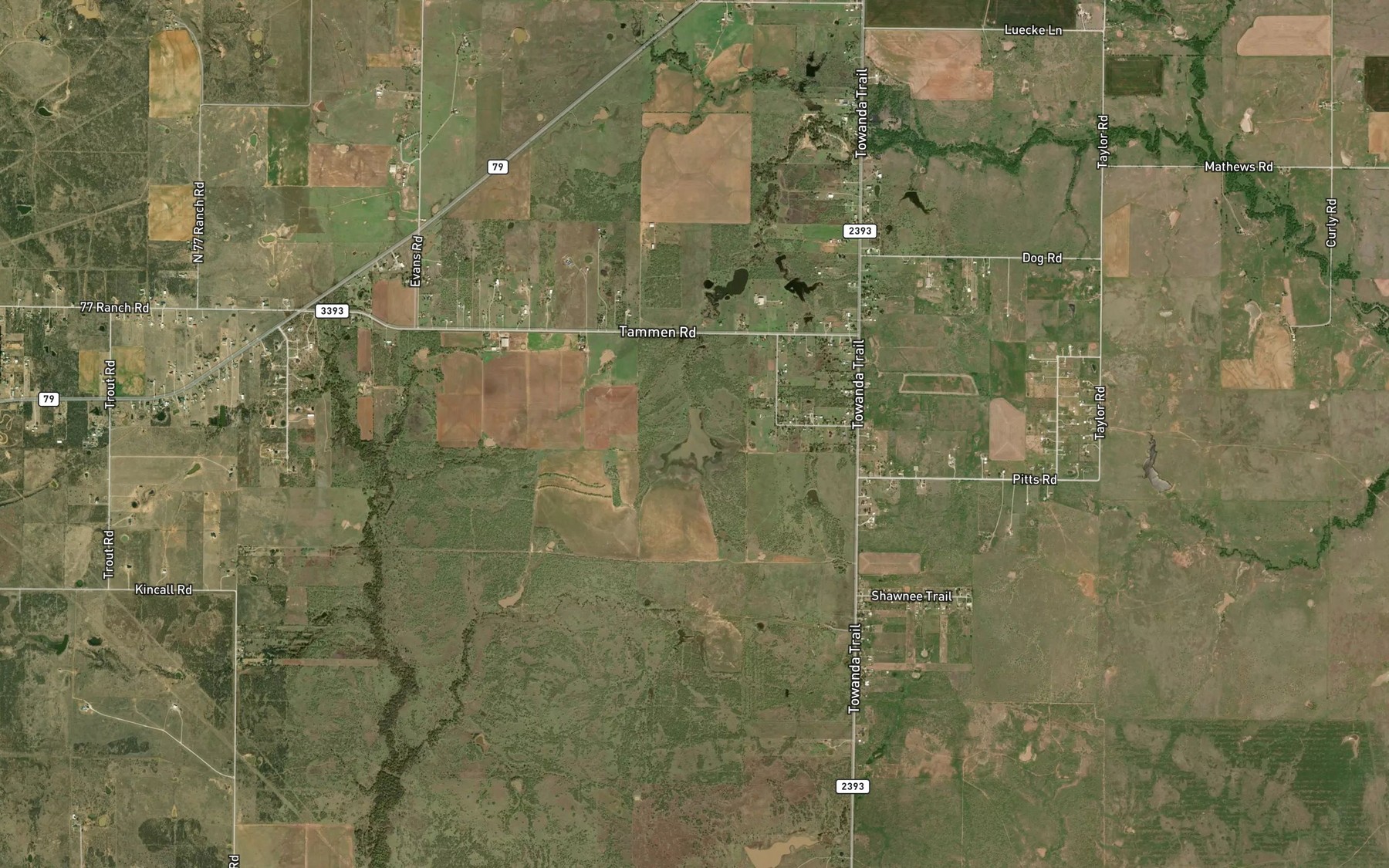 Satellite map of the Ferguson Lake
