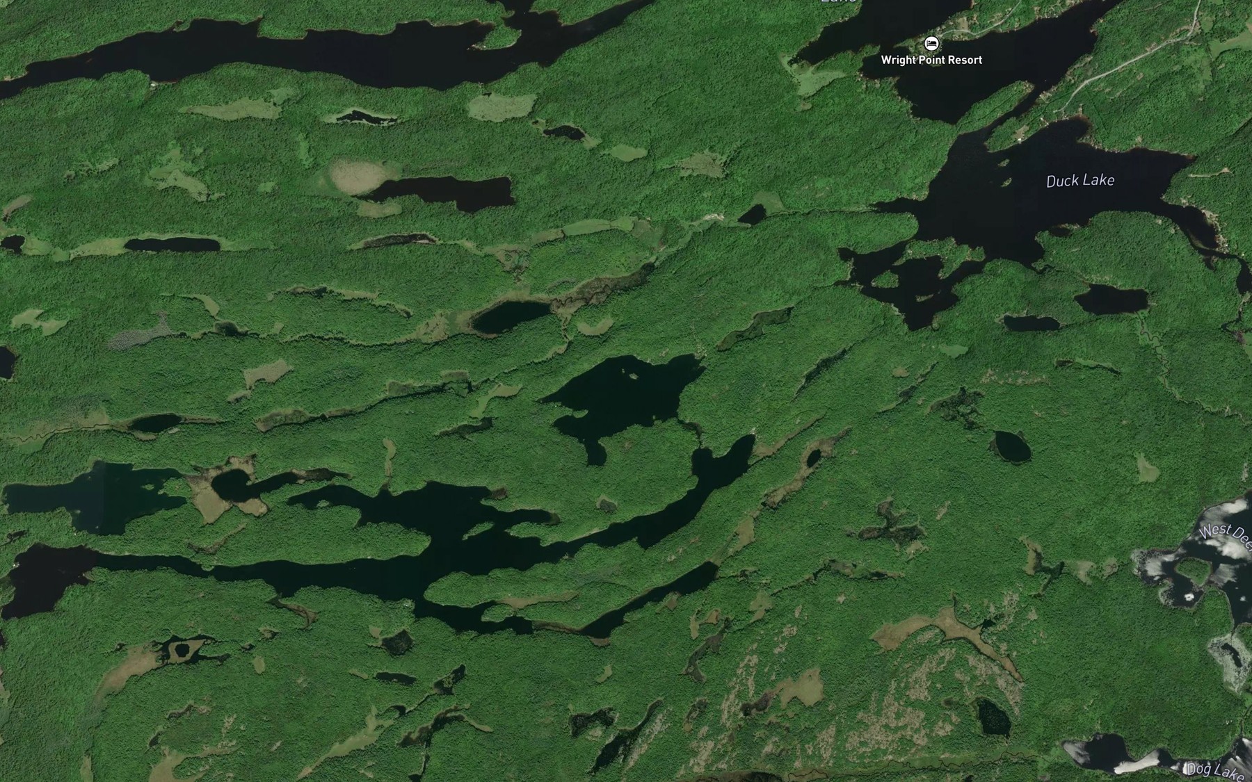 Satellite map of the Mud Lake