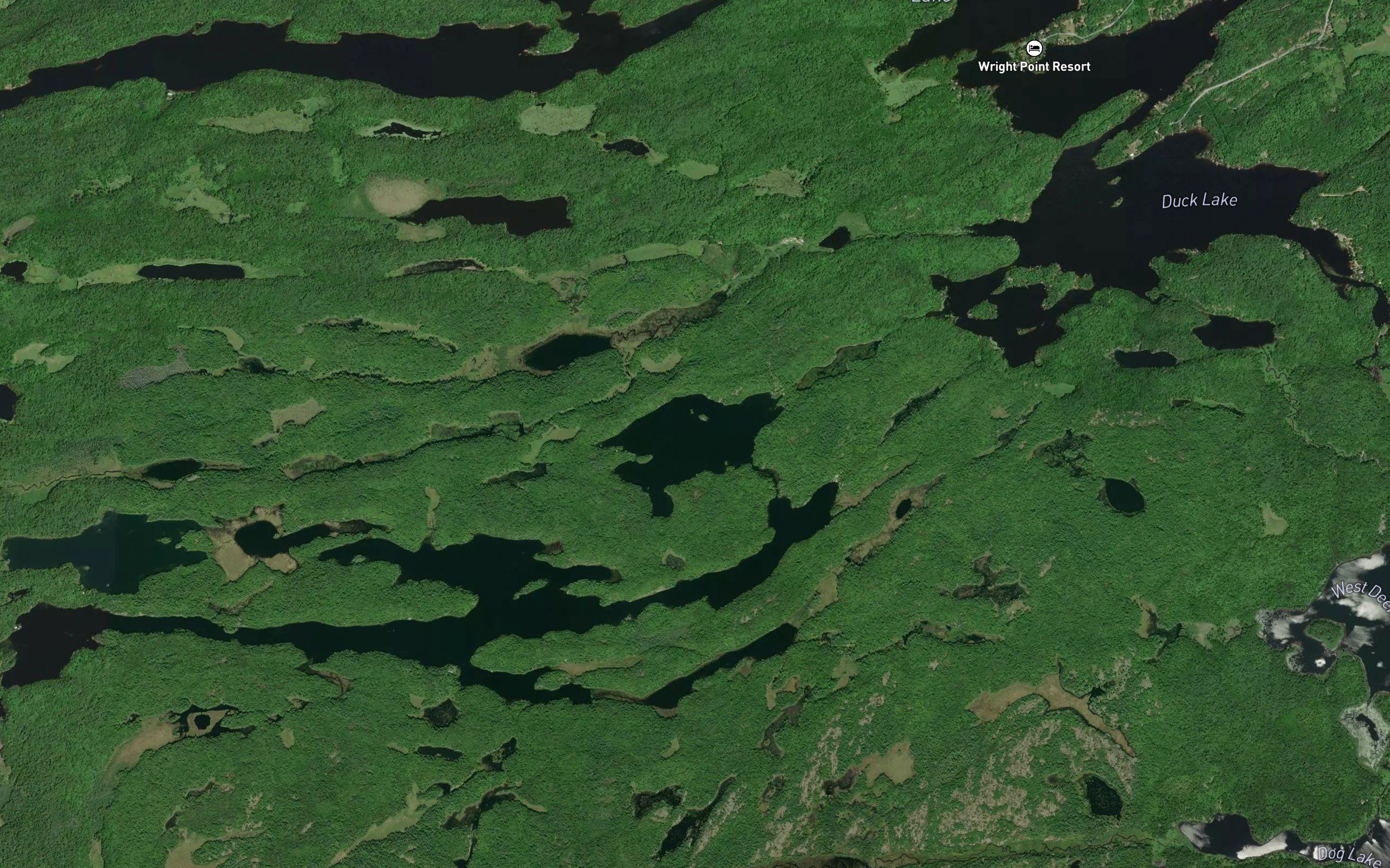 Mud Lake
