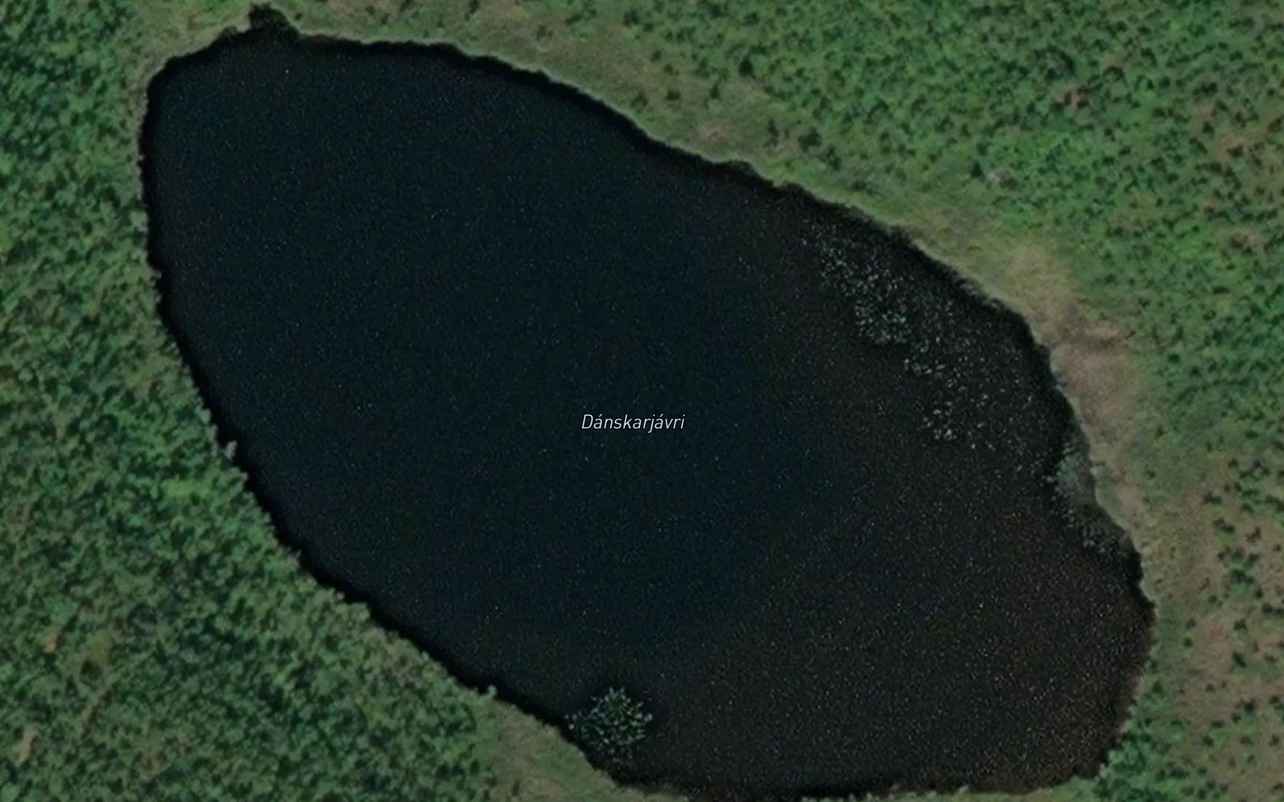 Danskarjavri