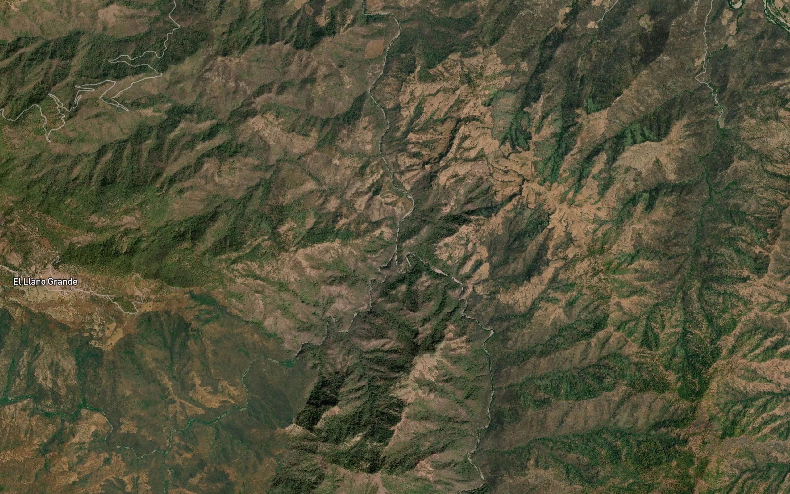 Jabali
