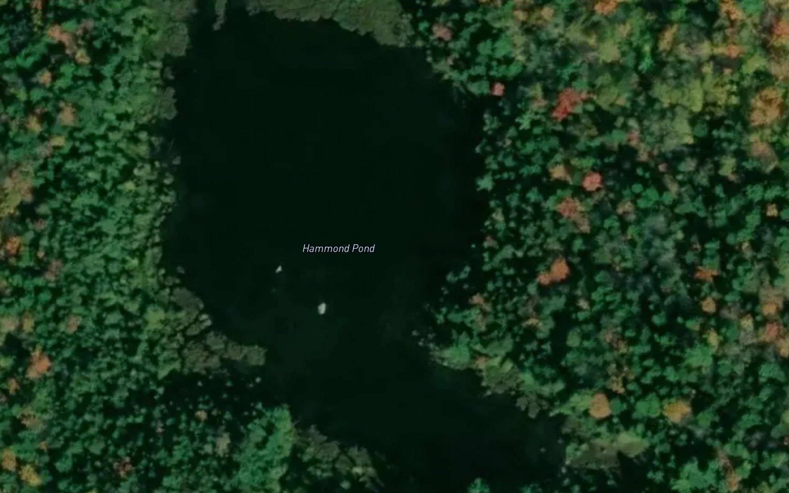 Hammond Pond