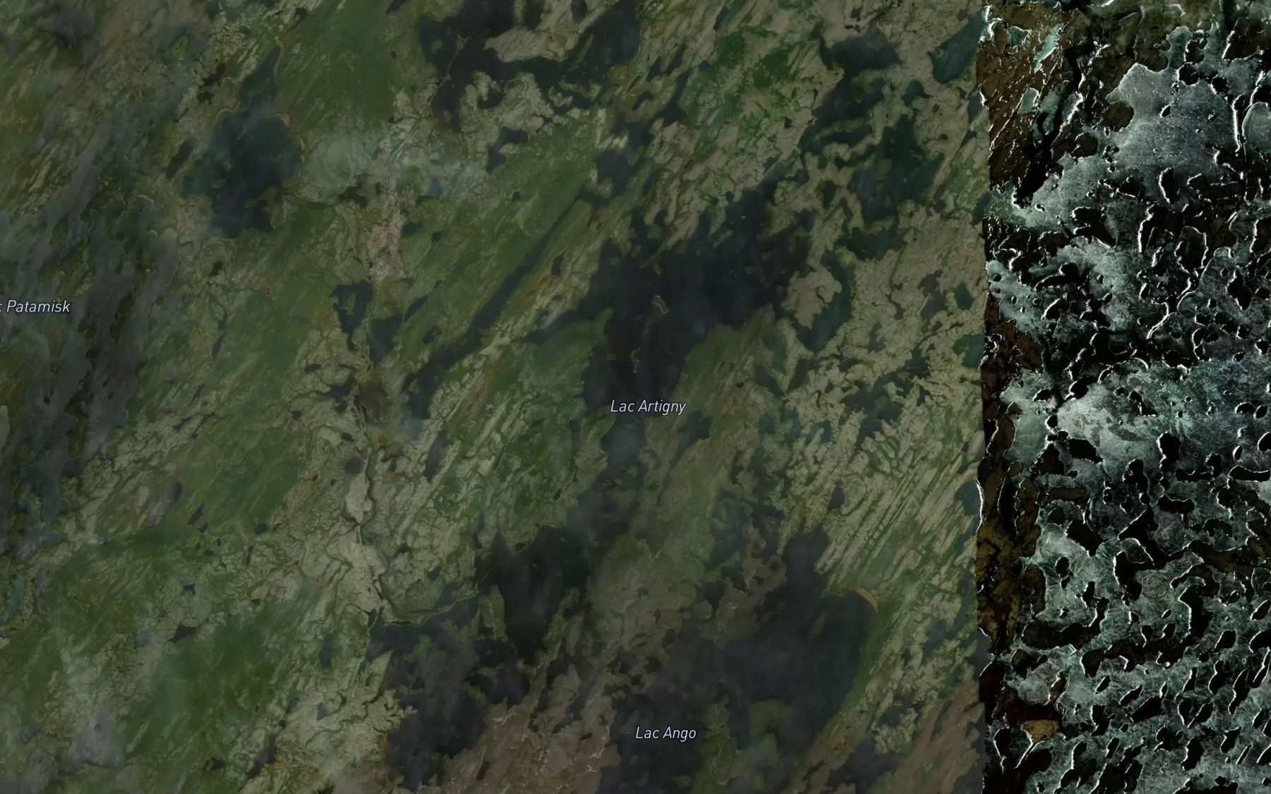Satellite map of the Lac Artigny