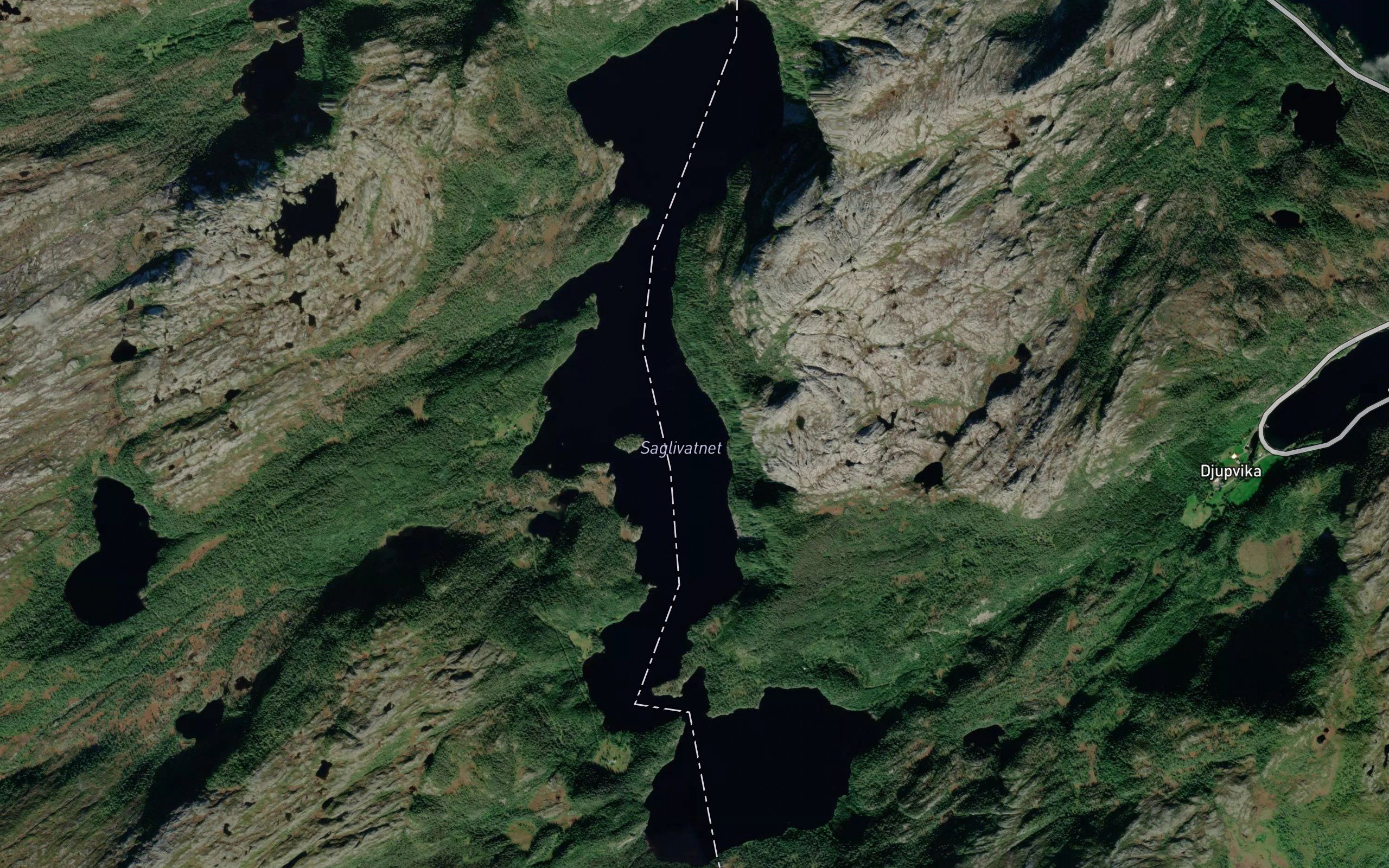 Saglivatnet