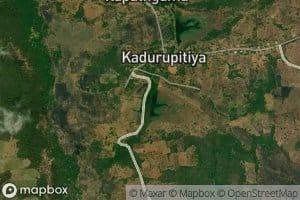 Kadurupitiya Wewa