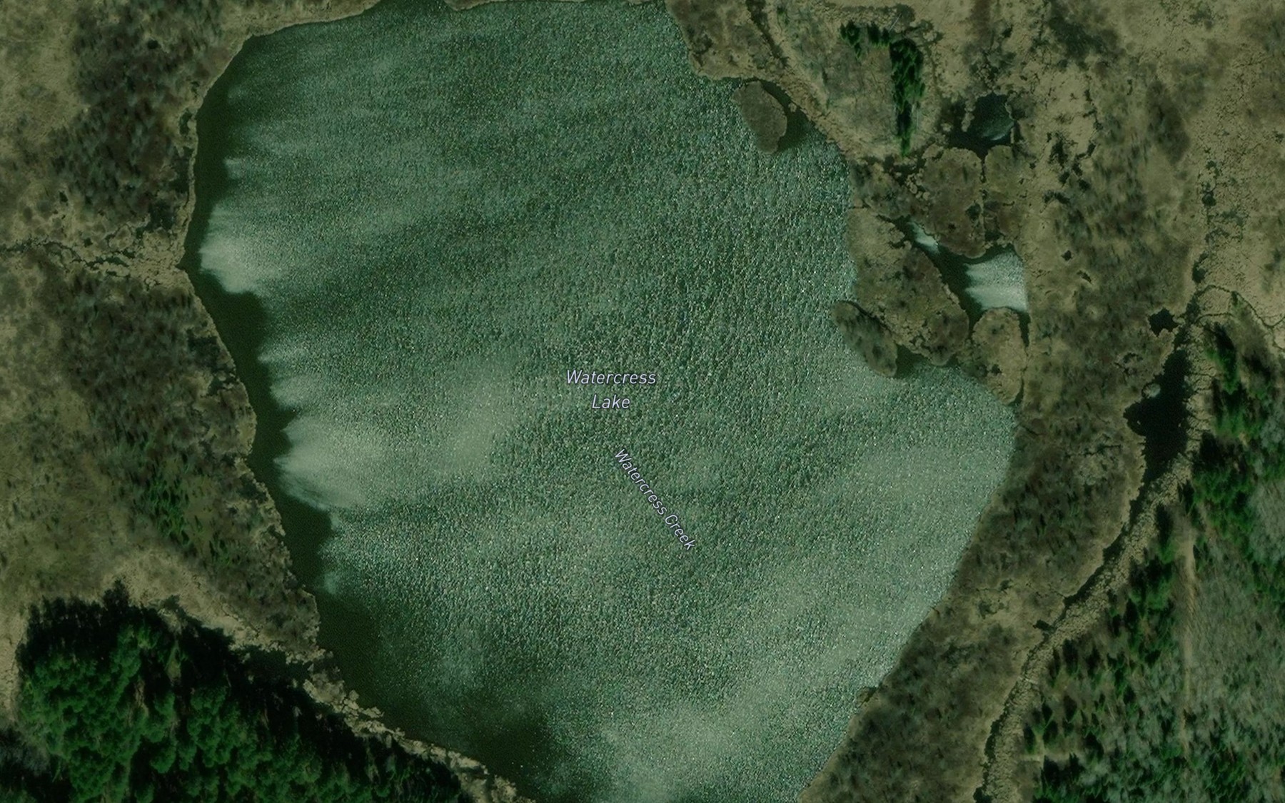 Satellite map of the Watercress Lake