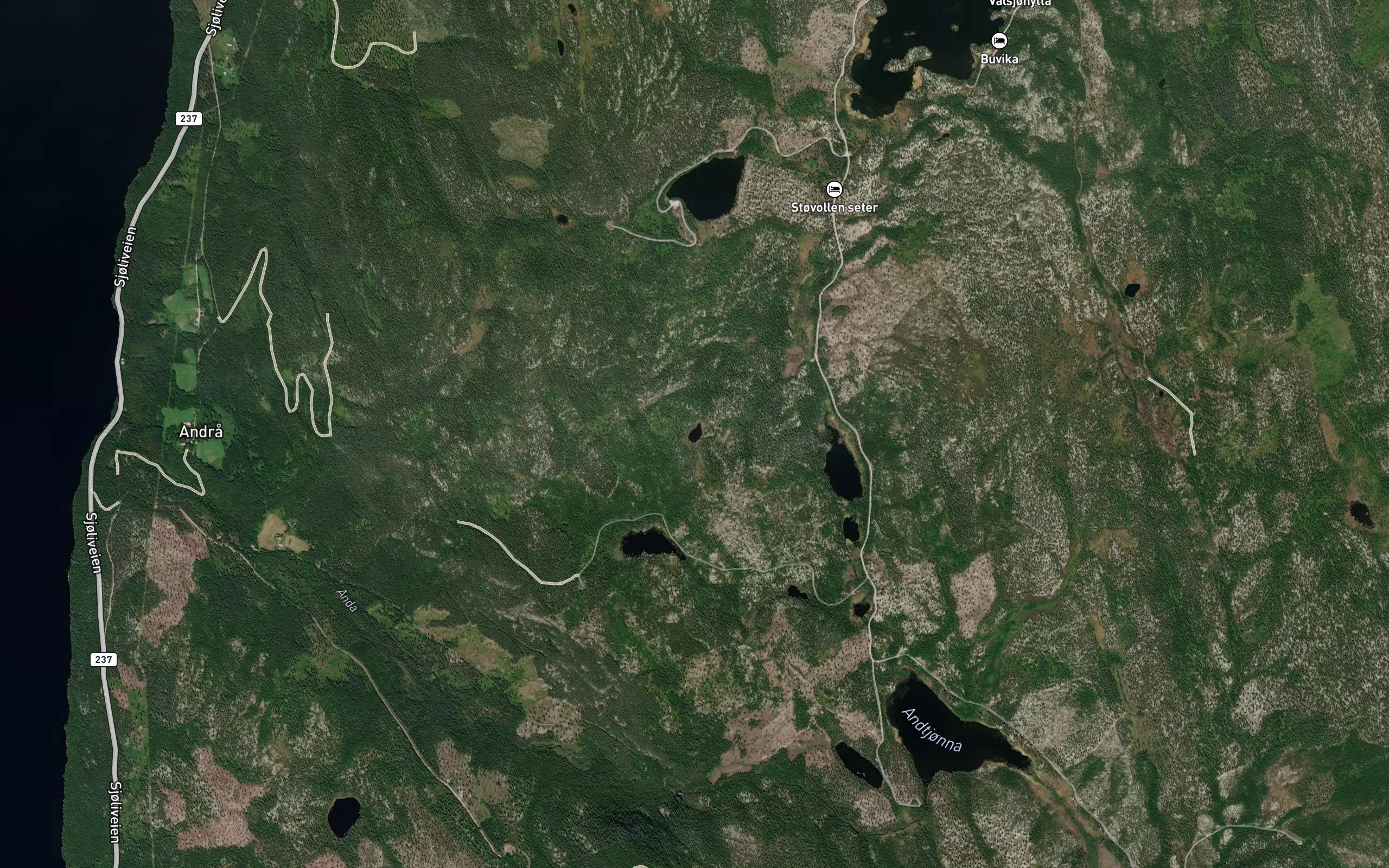 Bukktjorna