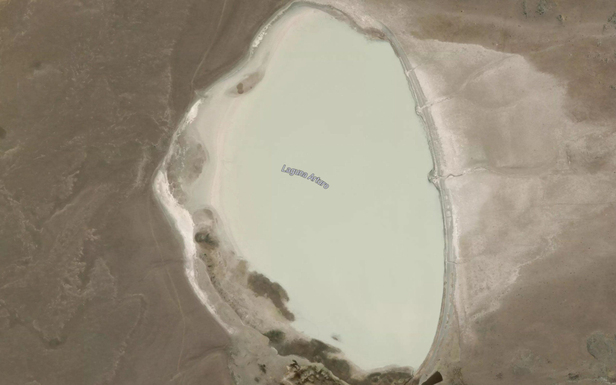 Laguna Arturo