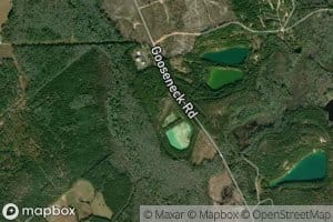 Edisto Plant Settling Basin Hube