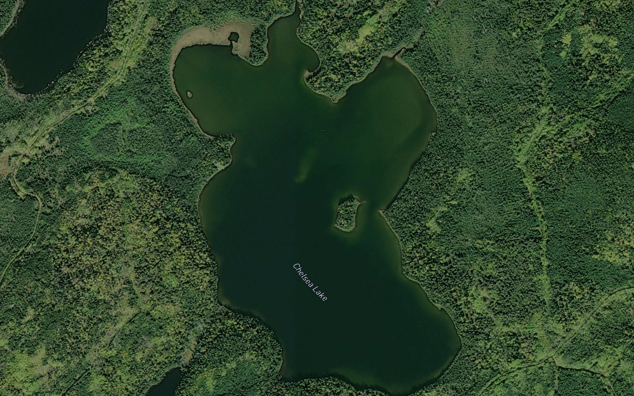 Chelsea Lake