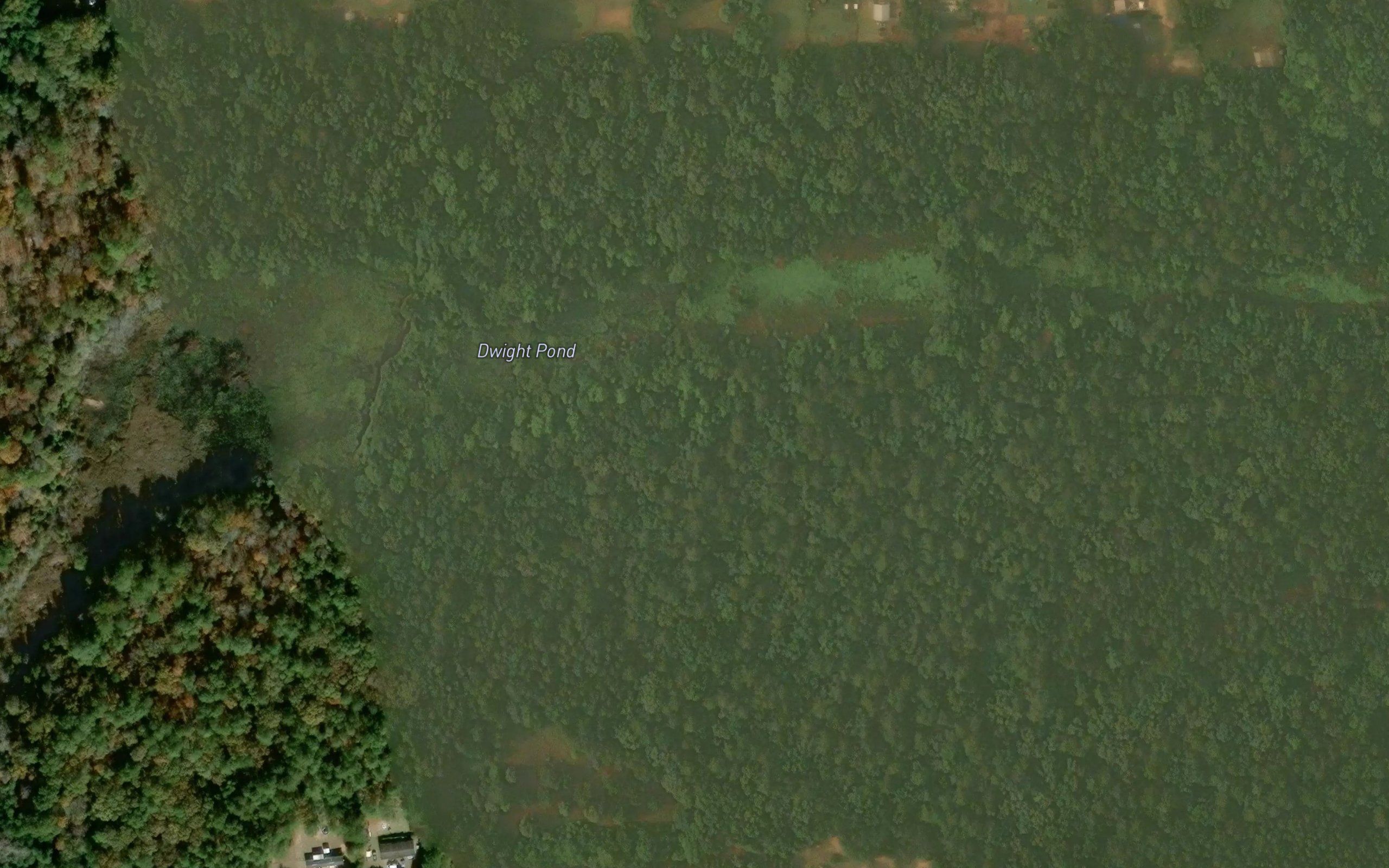 Dwight Pond