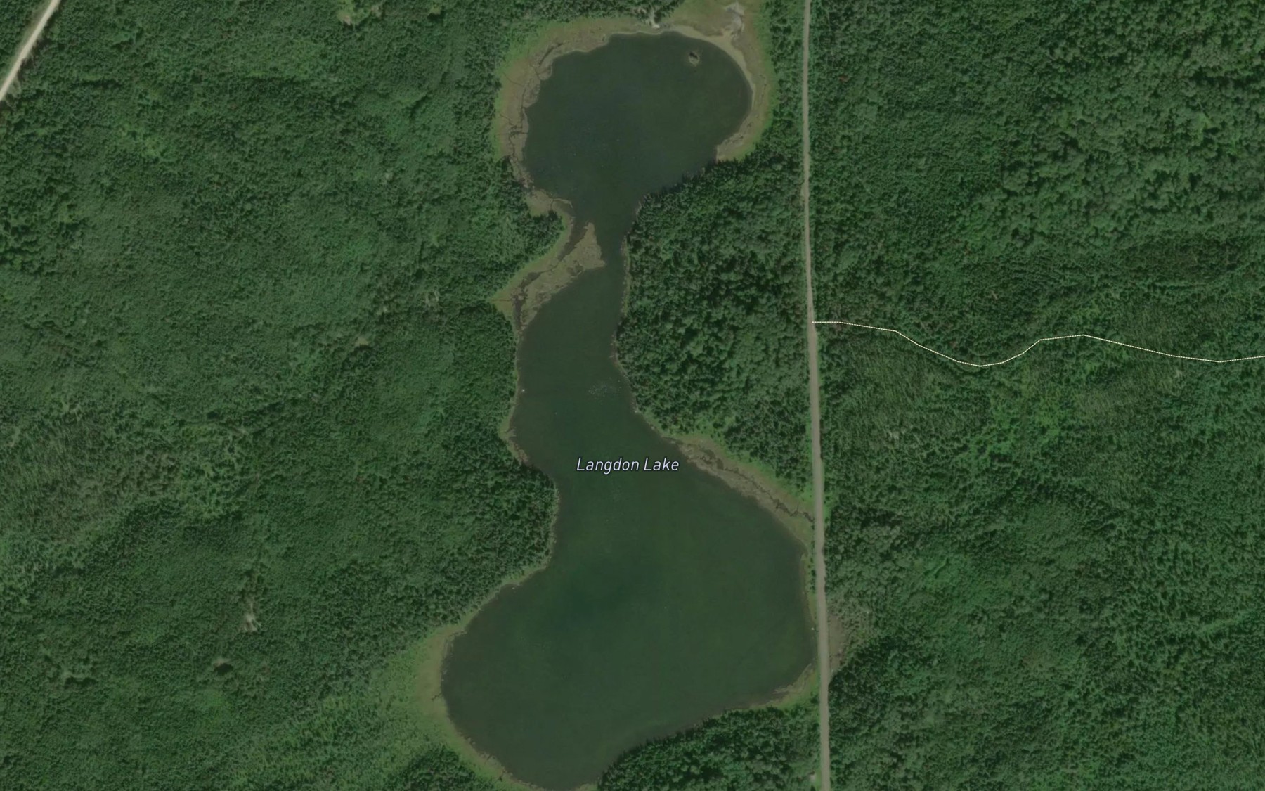 Satellite map of the Langdon Lake