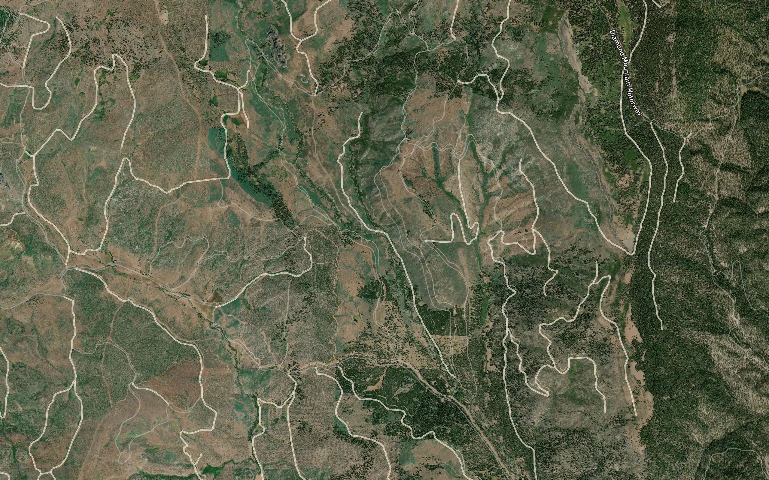 Pierce Creek