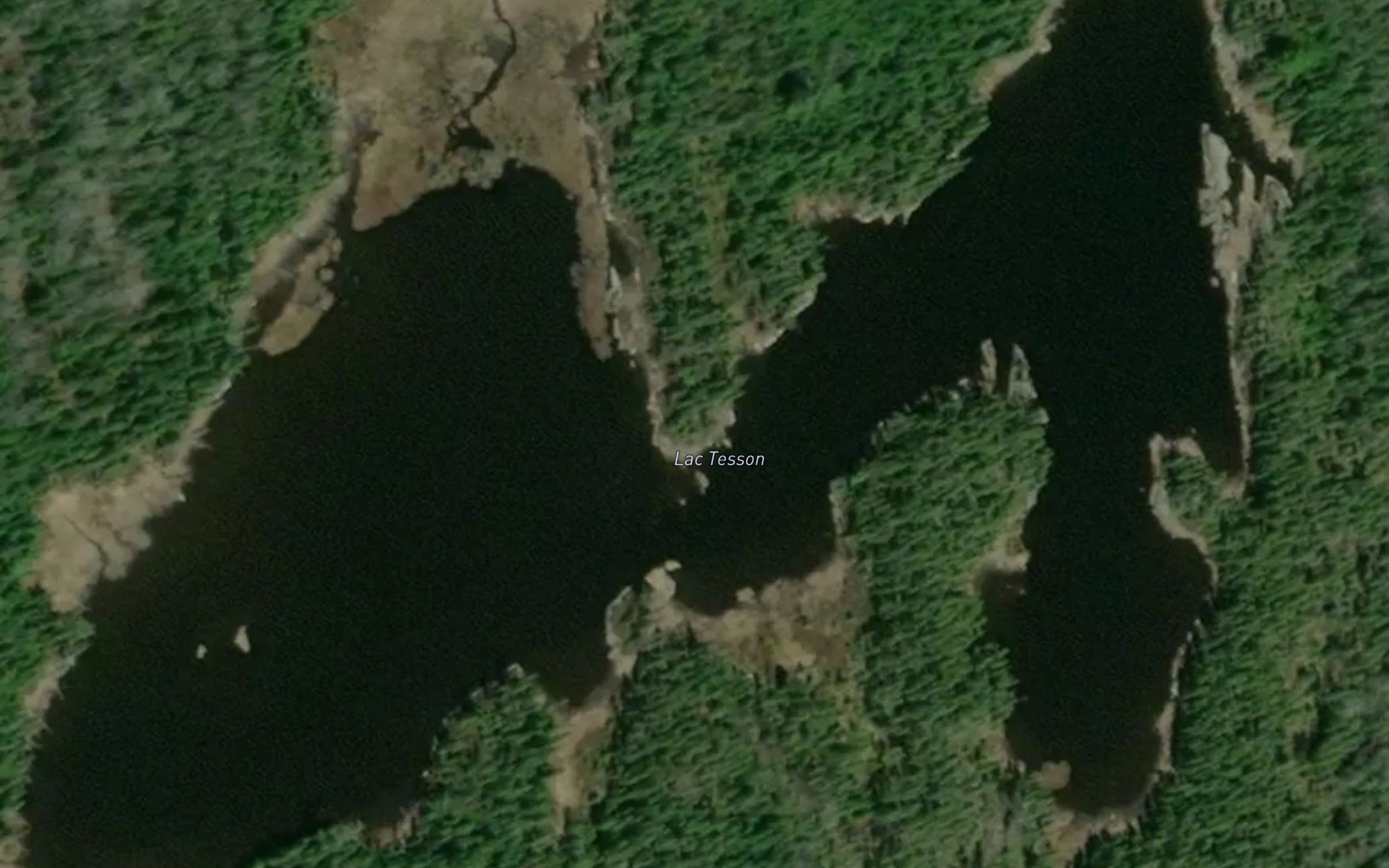 Lac Tesson