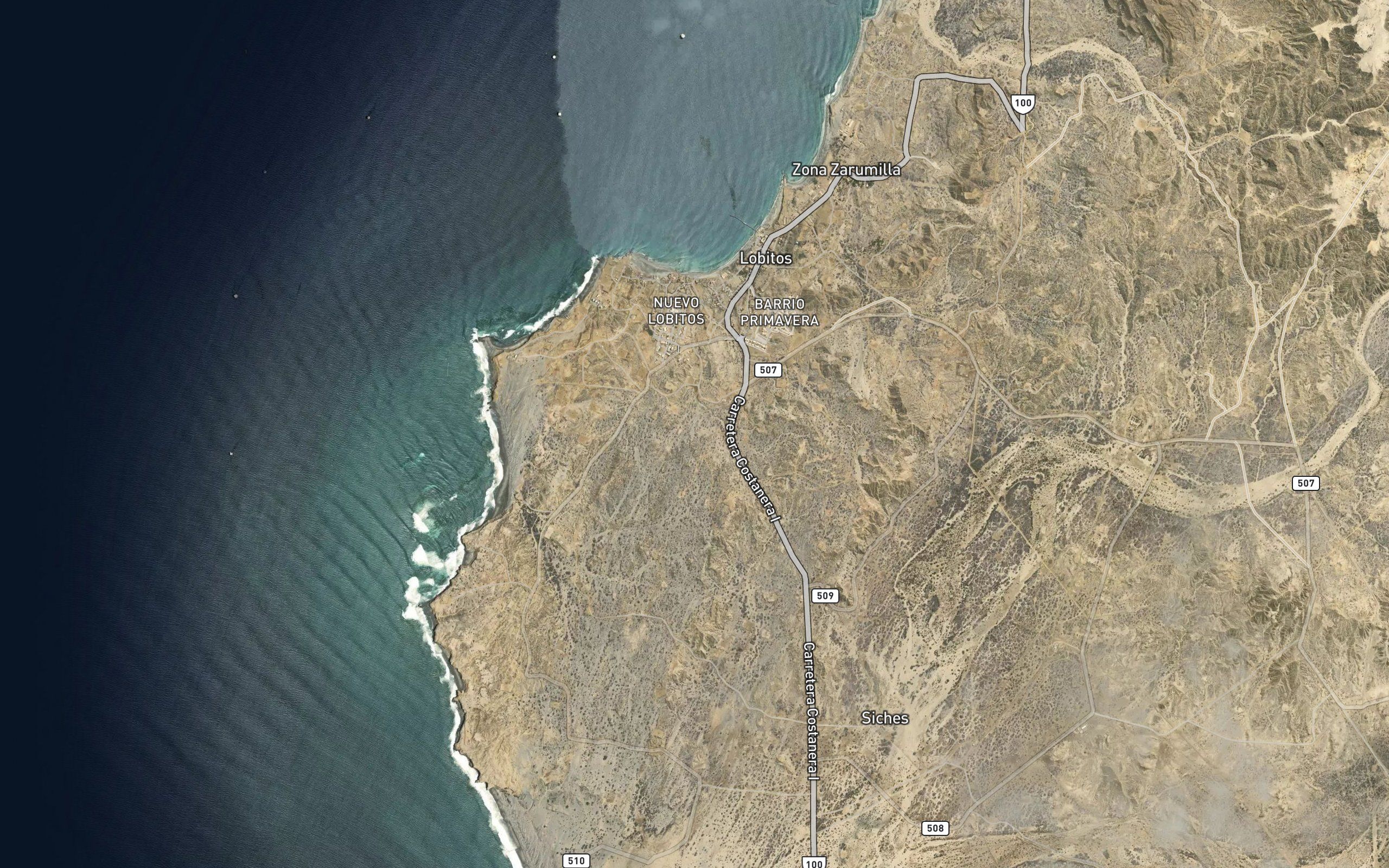 Arrecife Algerine