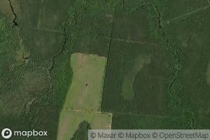 Little Bobby Kaye Brook