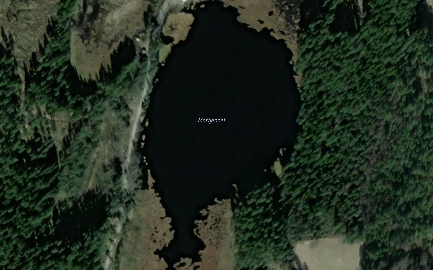 Satellite map of the Morttjernet